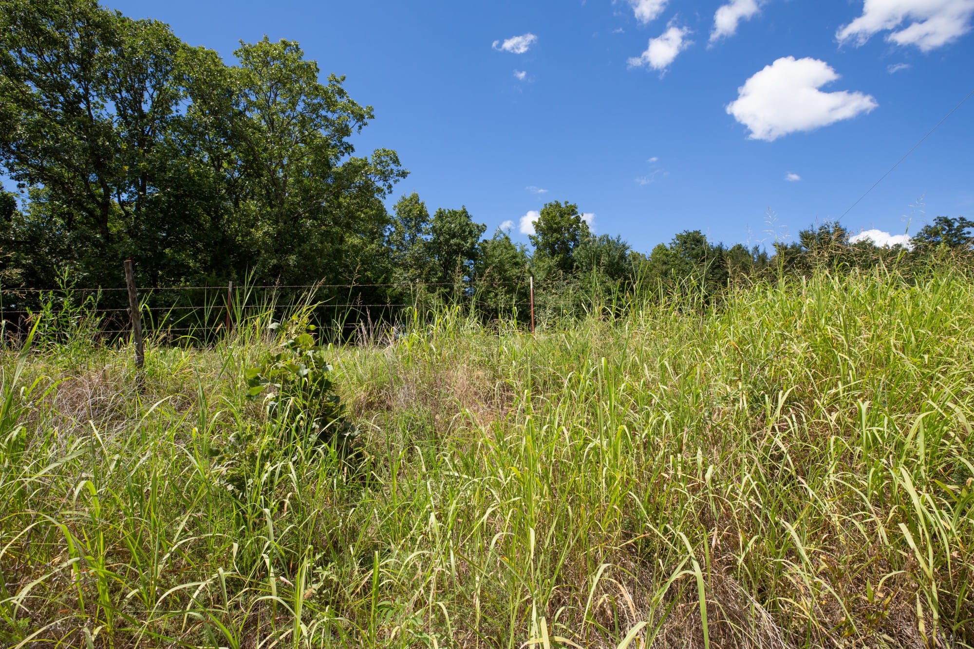 Paradise Valley Tract 20 photo 3