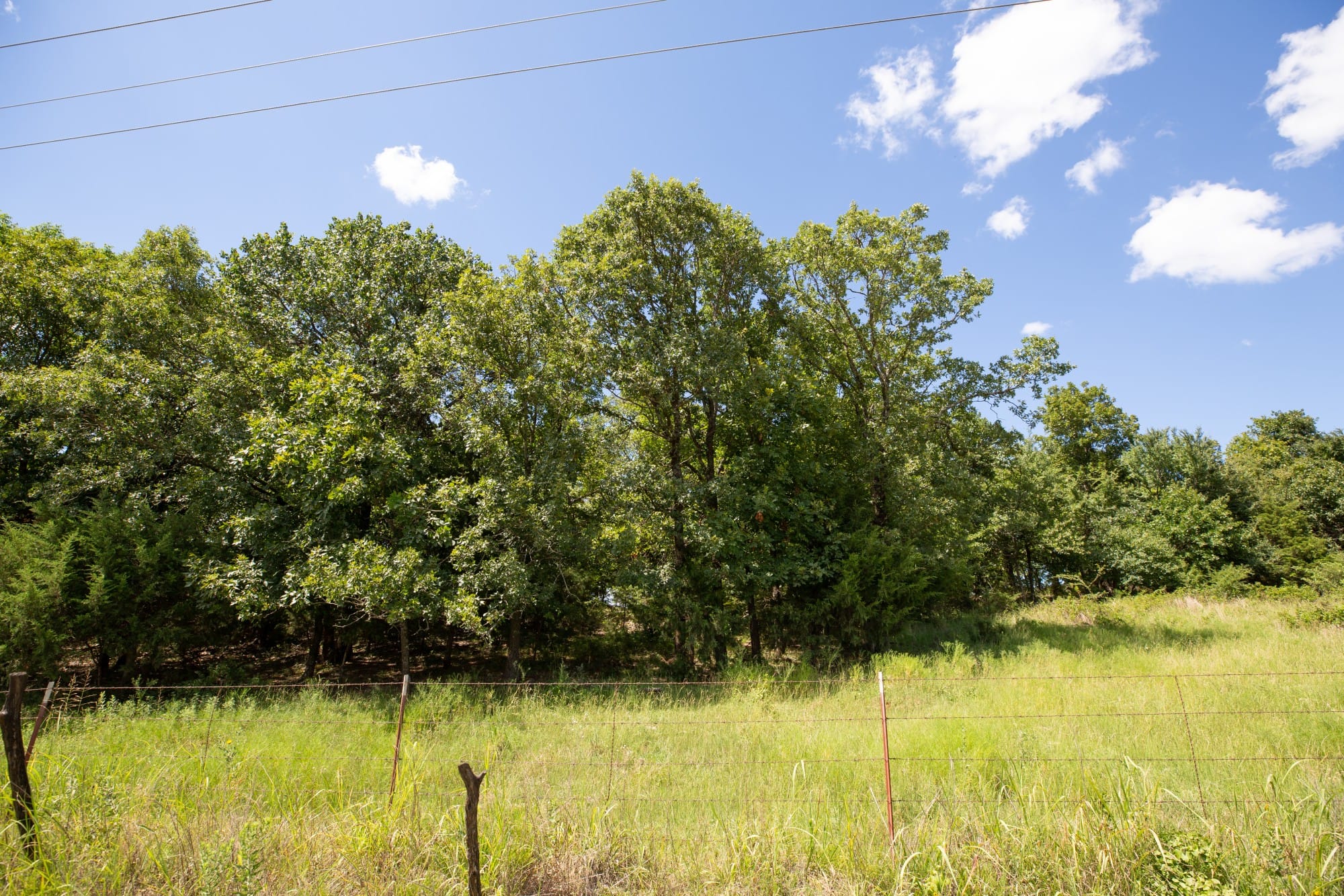 Paradise Valley Tract 20 photo 4