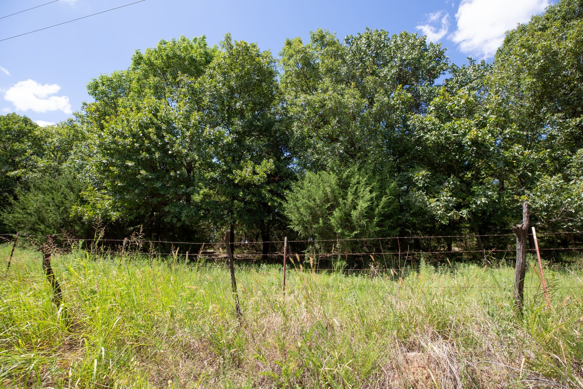 Paradise Valley Tract 20 photo 6
