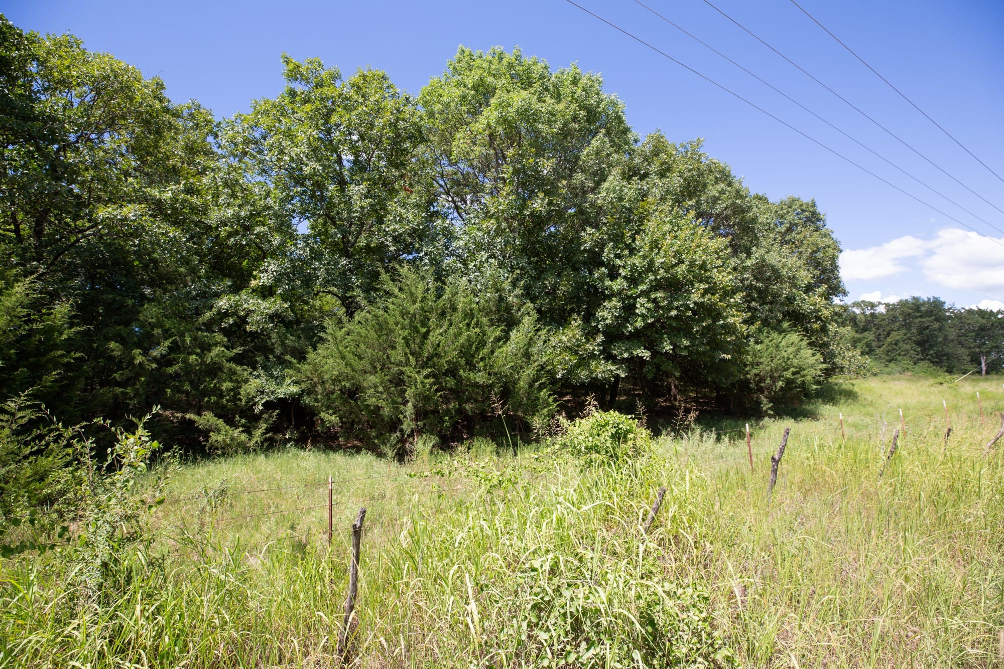 Paradise Valley Tract 20 photo 7