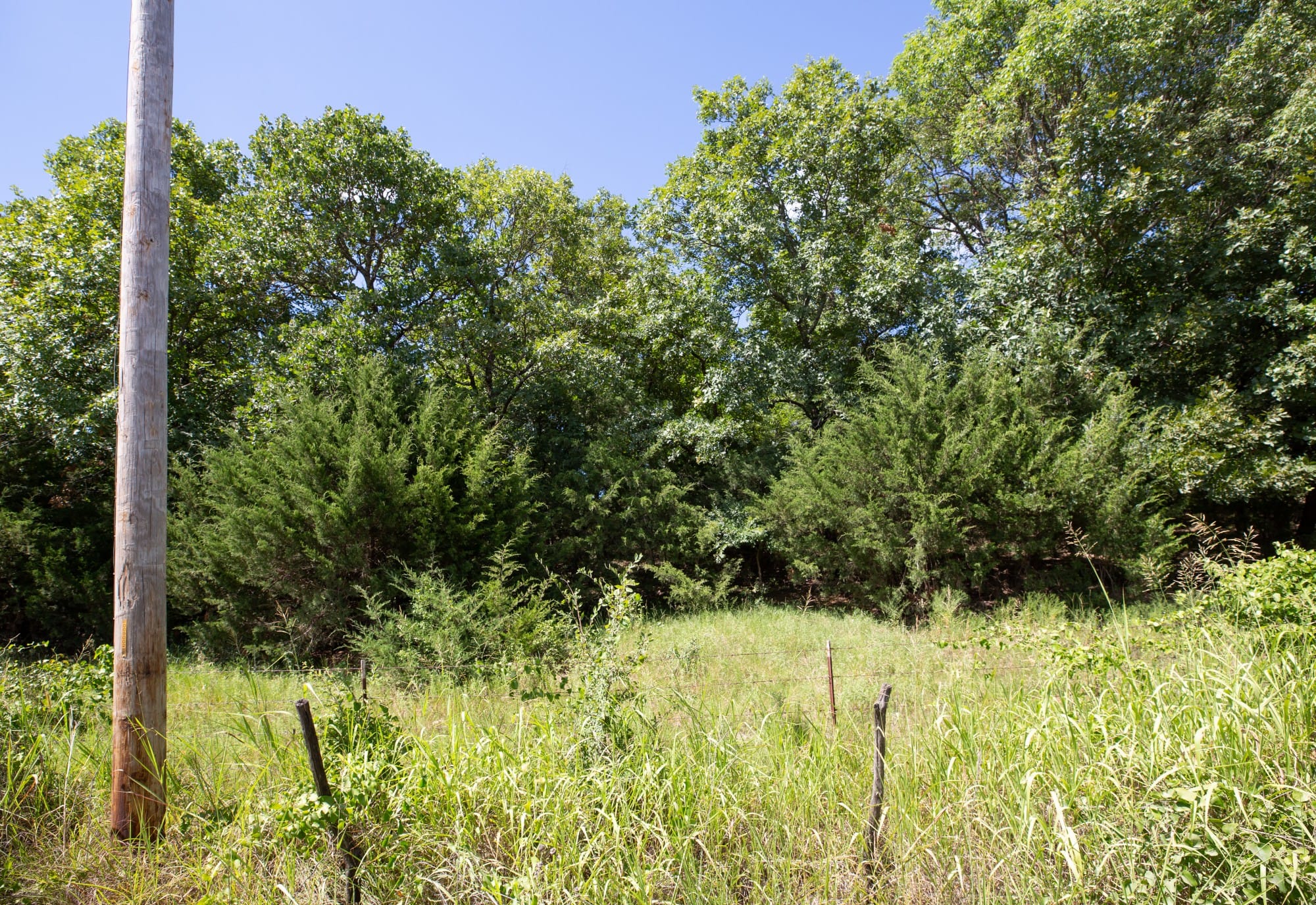 Paradise Valley Tract 20 photo 8