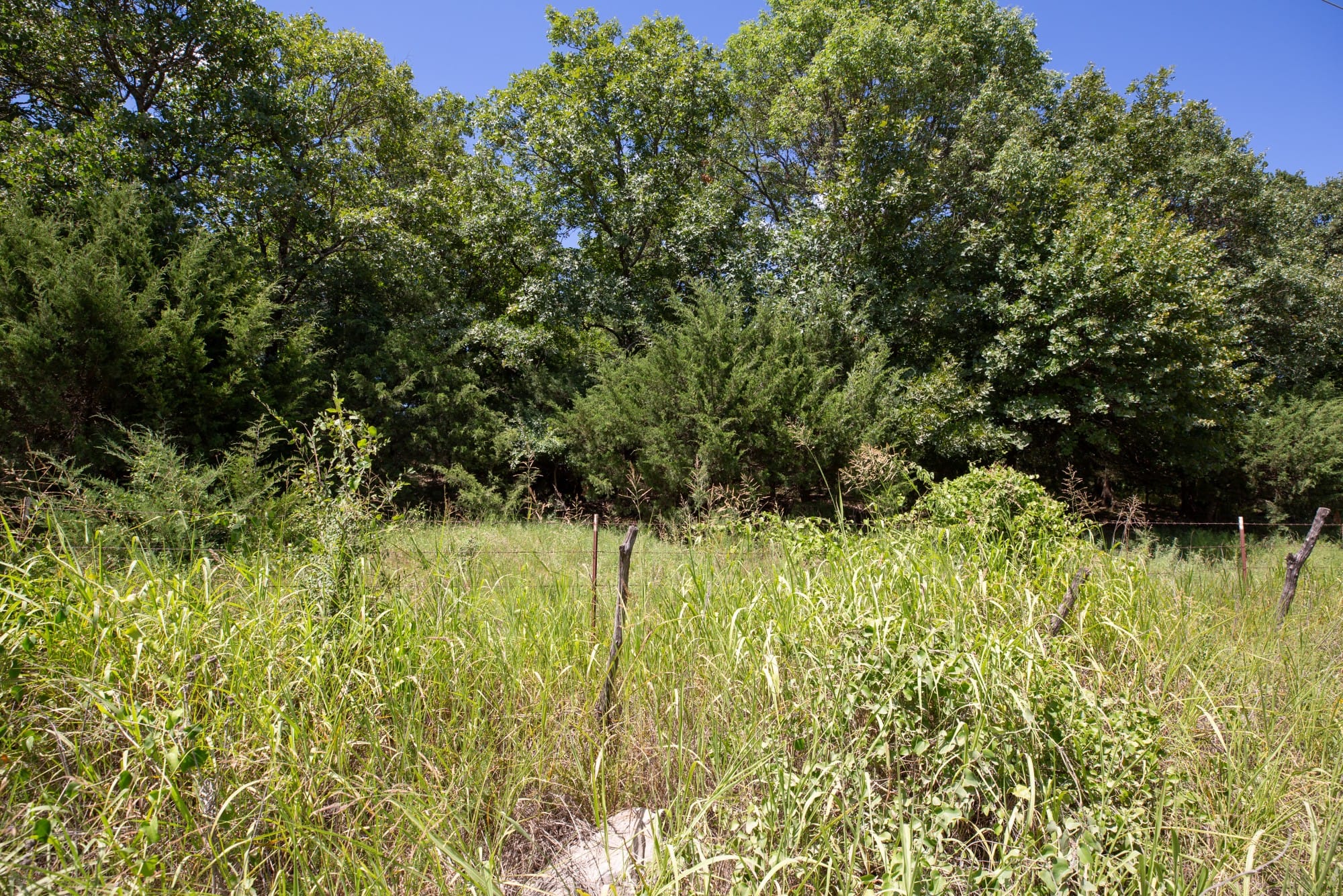 Paradise Valley Tract 20 photo 10