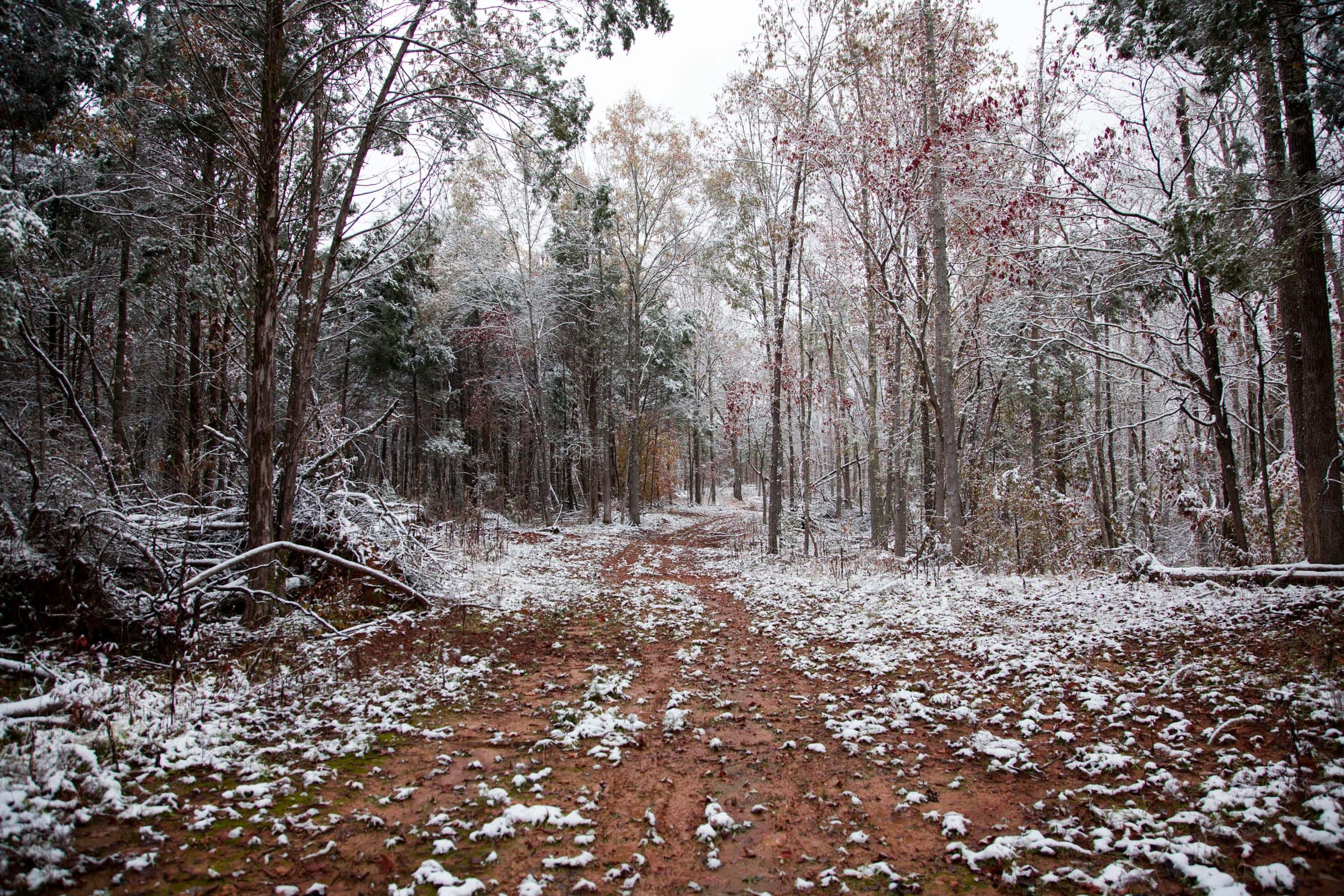 Sweet Water Ranch Tract 17 photo 1