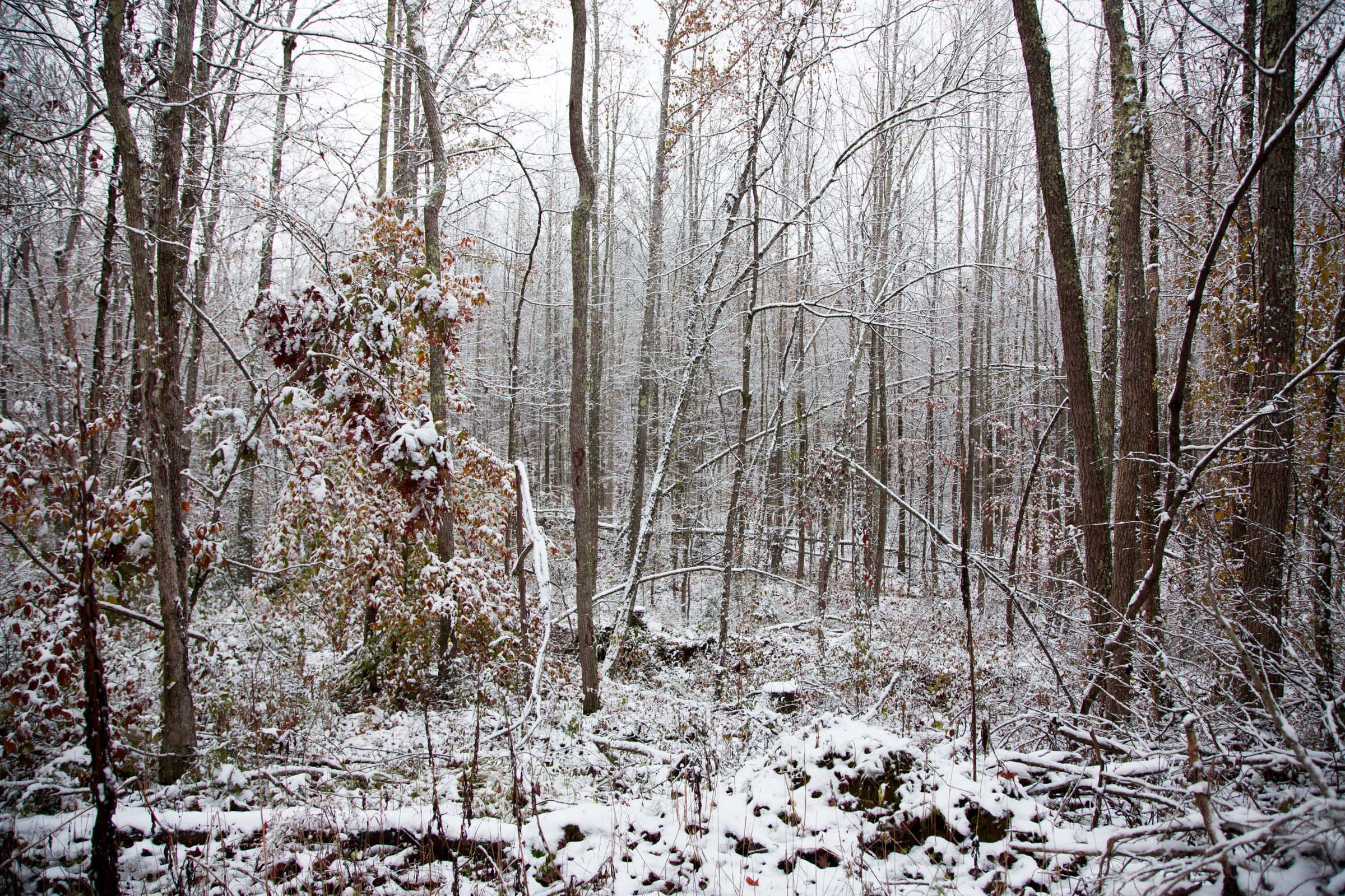 Sweet Water Ranch Tract 17 photo 2