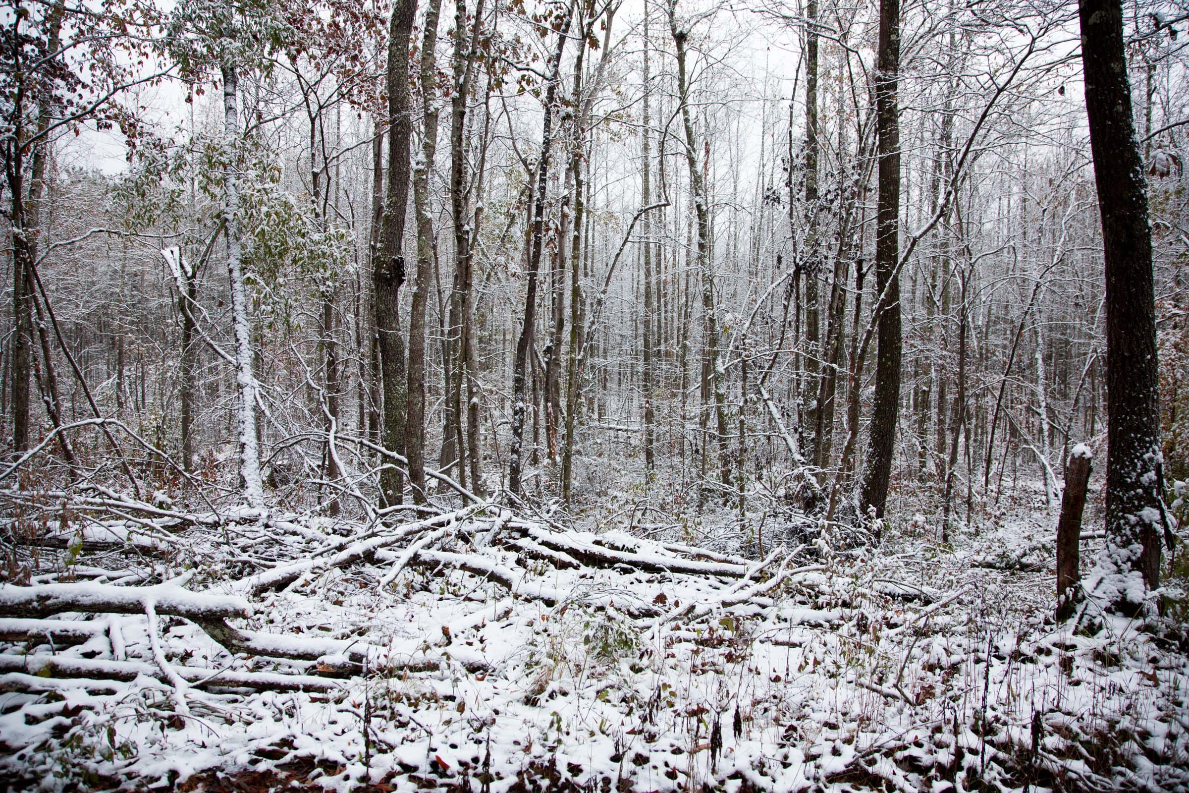 Sweet Water Ranch Tract 17 photo 3
