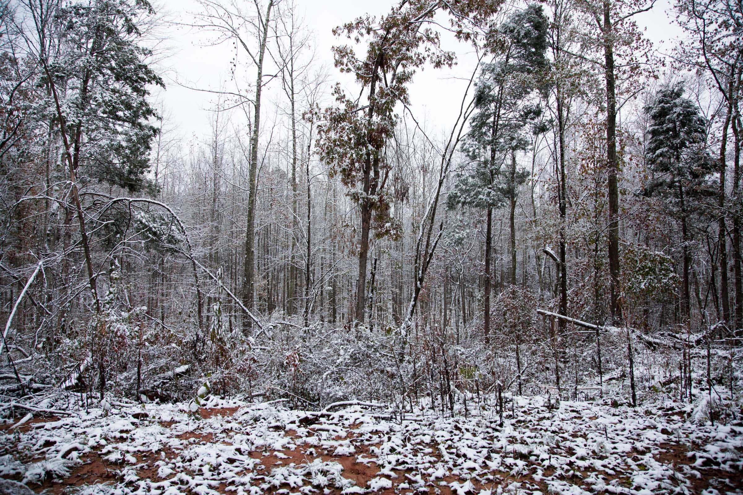 Sweet Water Ranch Tract 17 photo 4