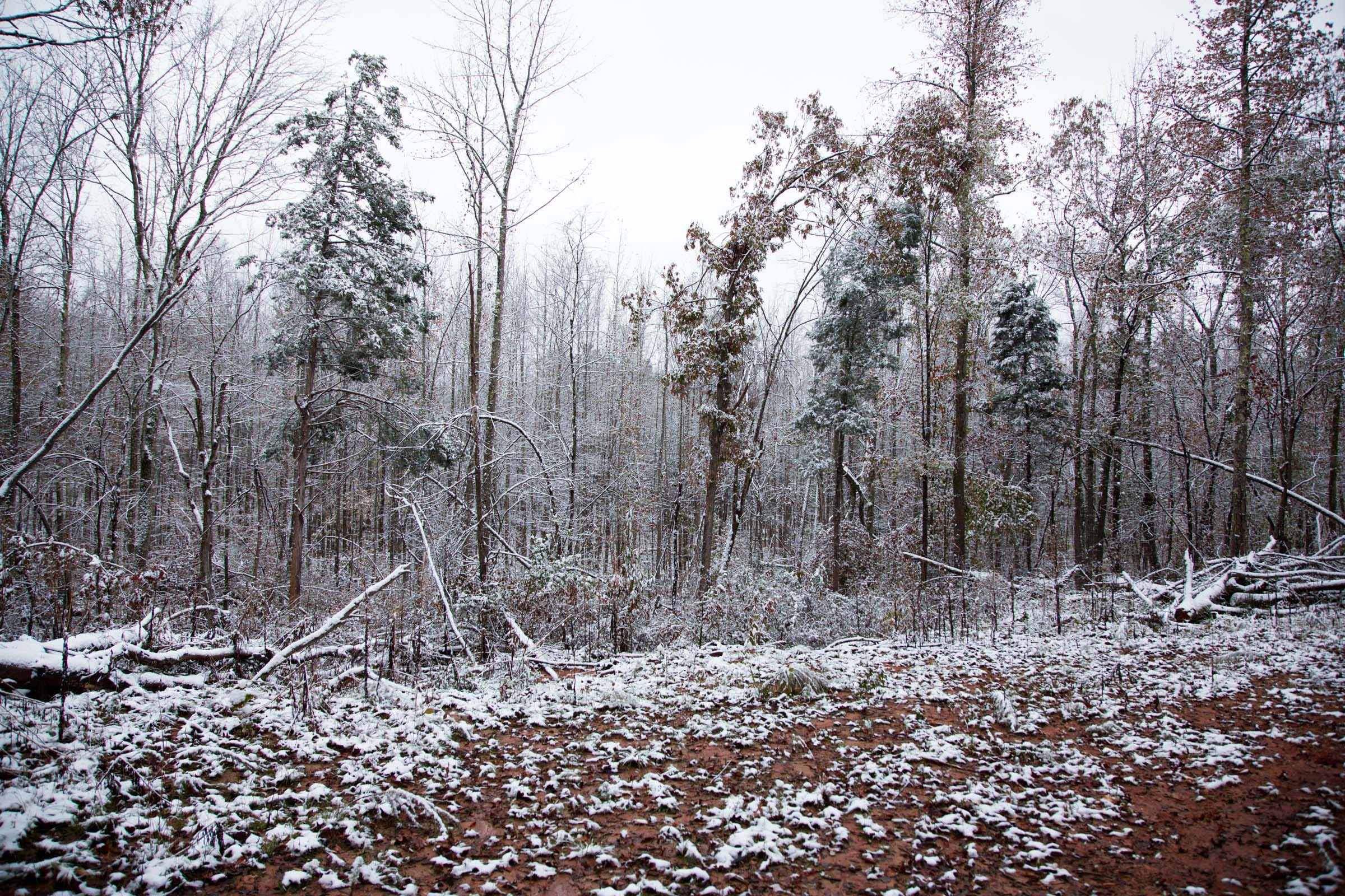 Sweet Water Ranch Tract 17 photo 5