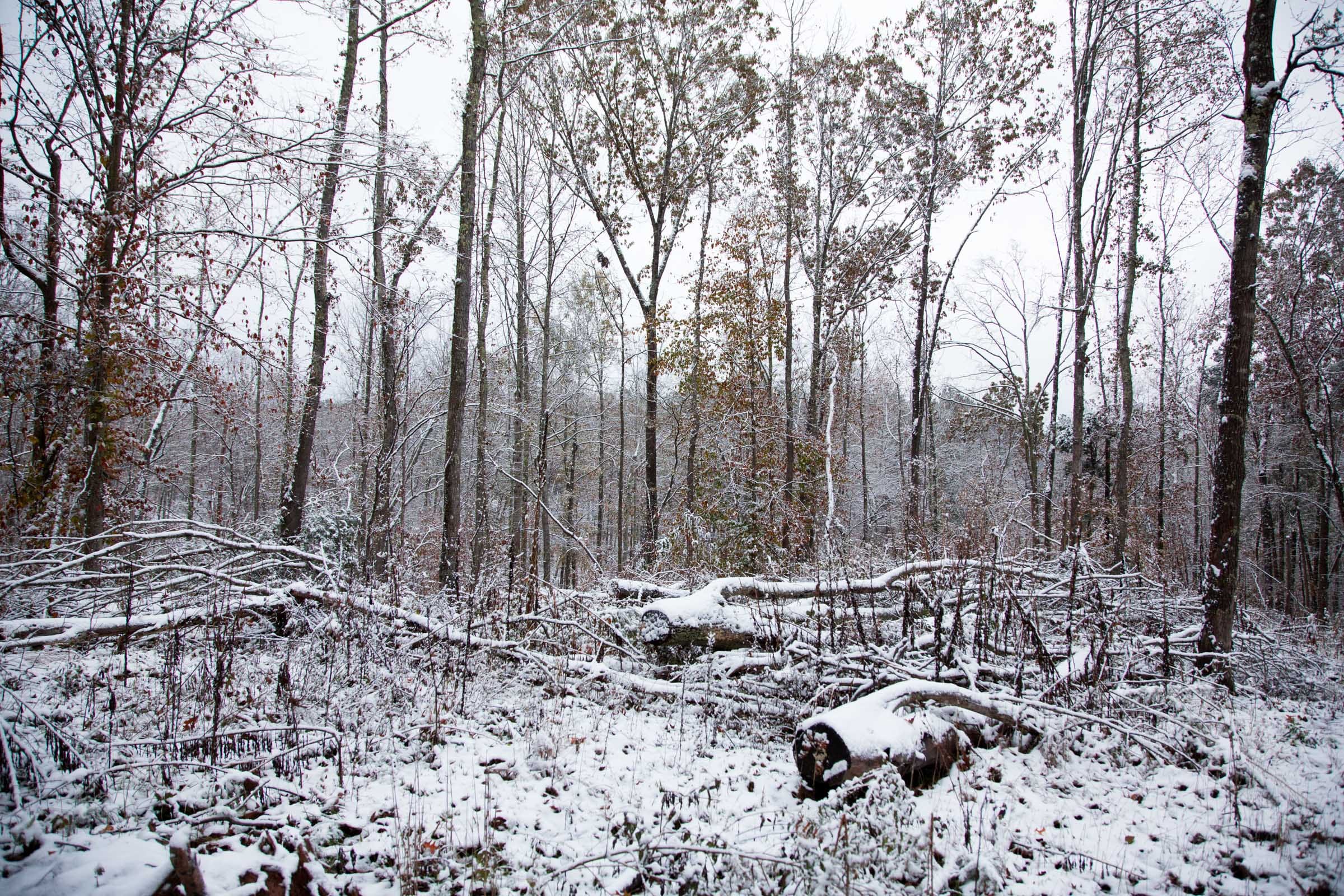 Sweet Water Ranch Tract 17 photo 6