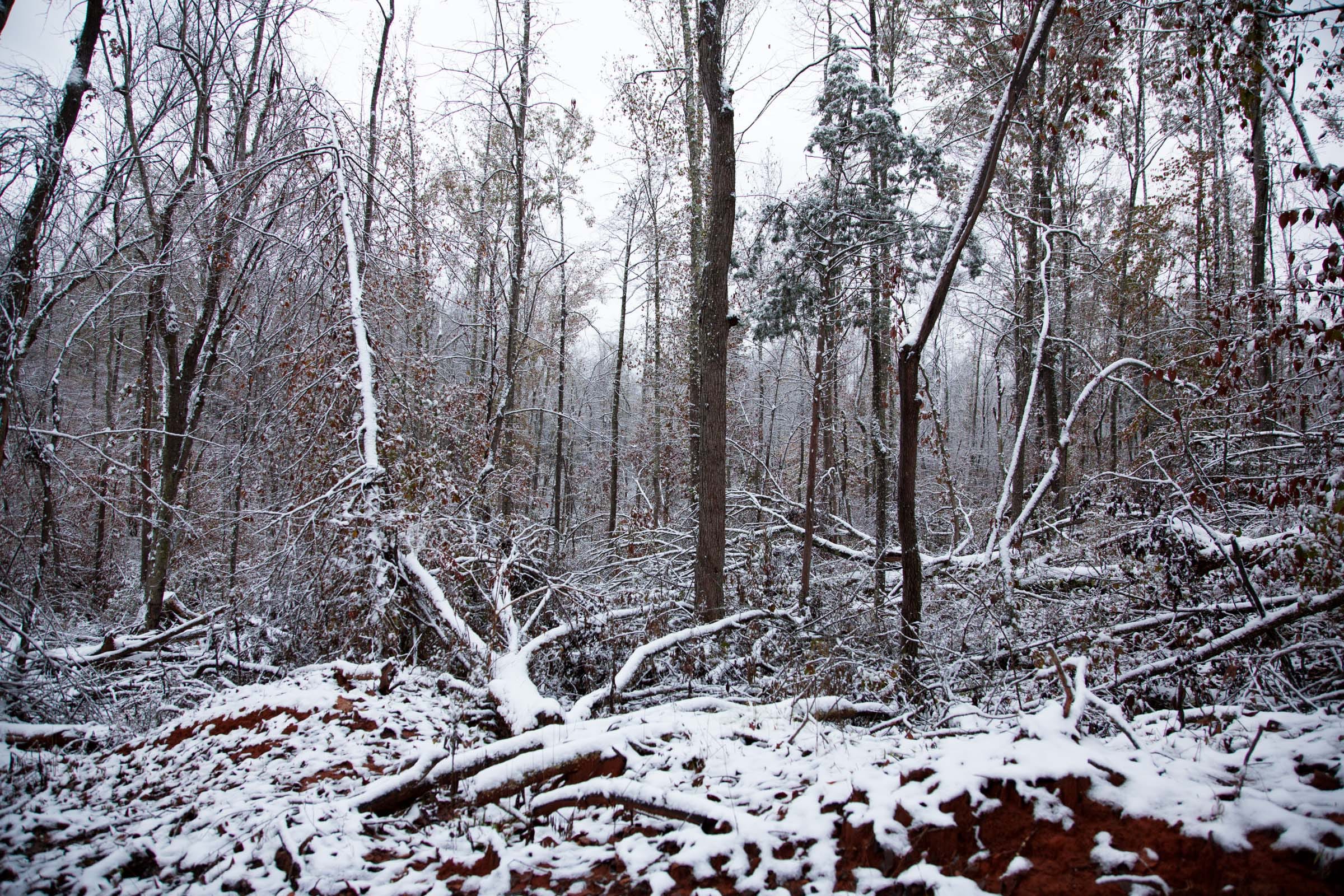 Sweet Water Ranch Tract 17 photo 8