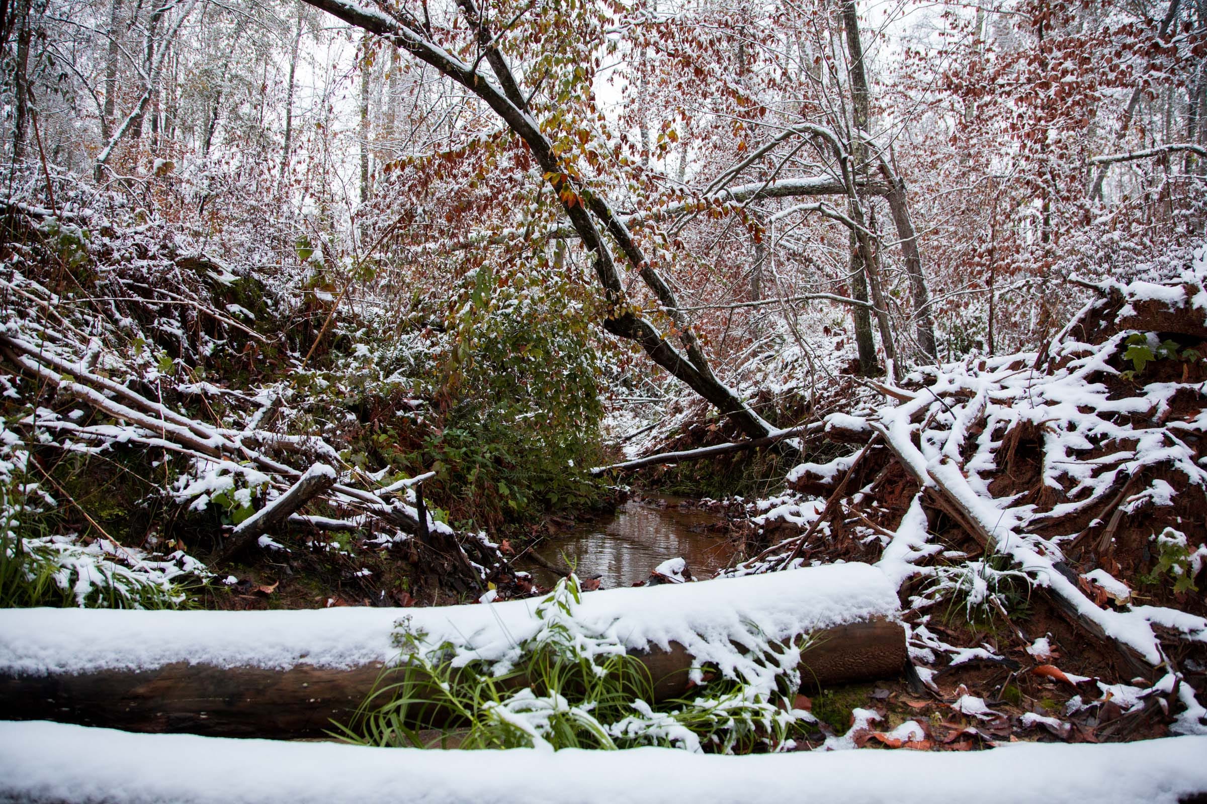 Sweet Water Ranch Tract 17 photo 10