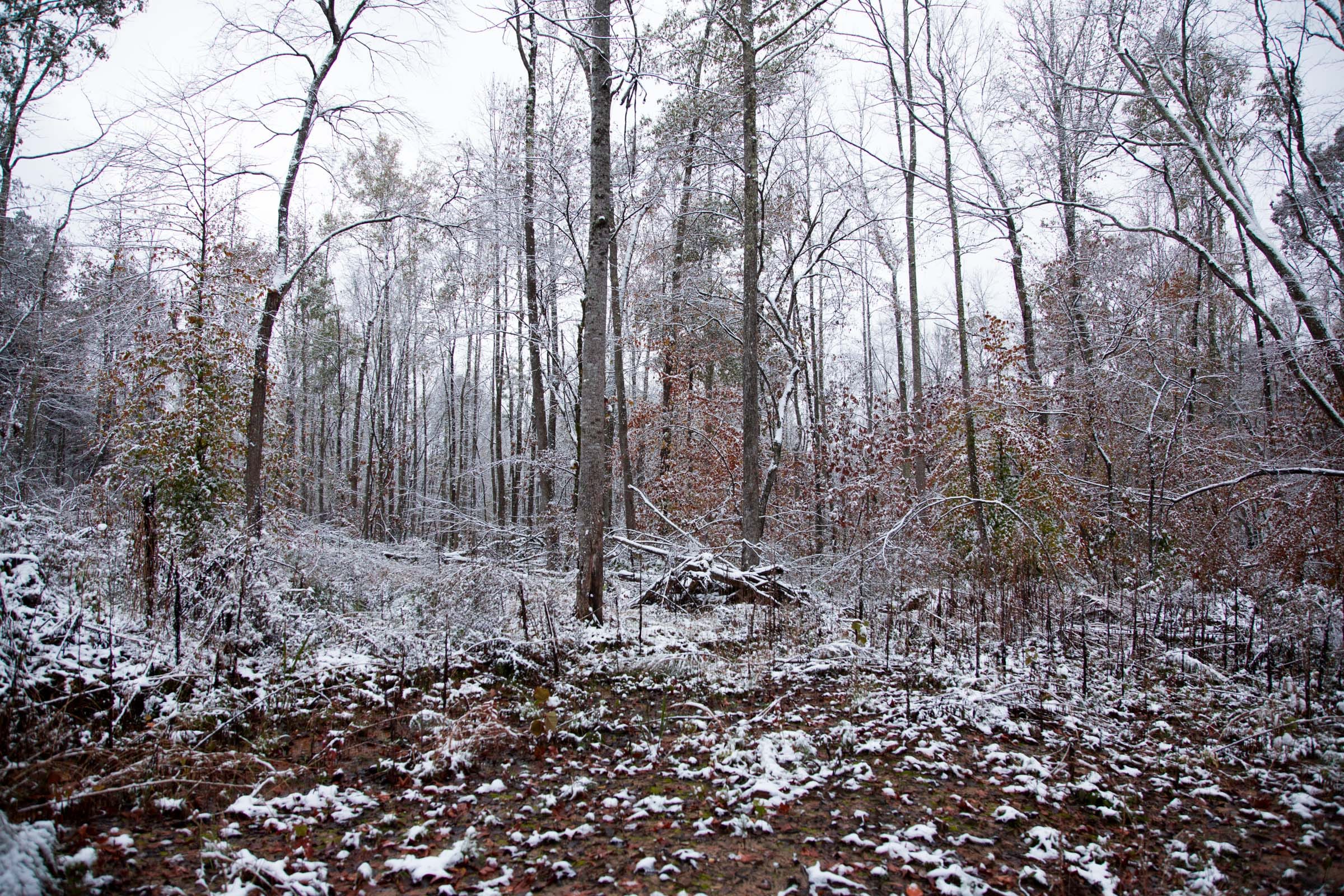 Sweet Water Ranch Tract 17 photo 11