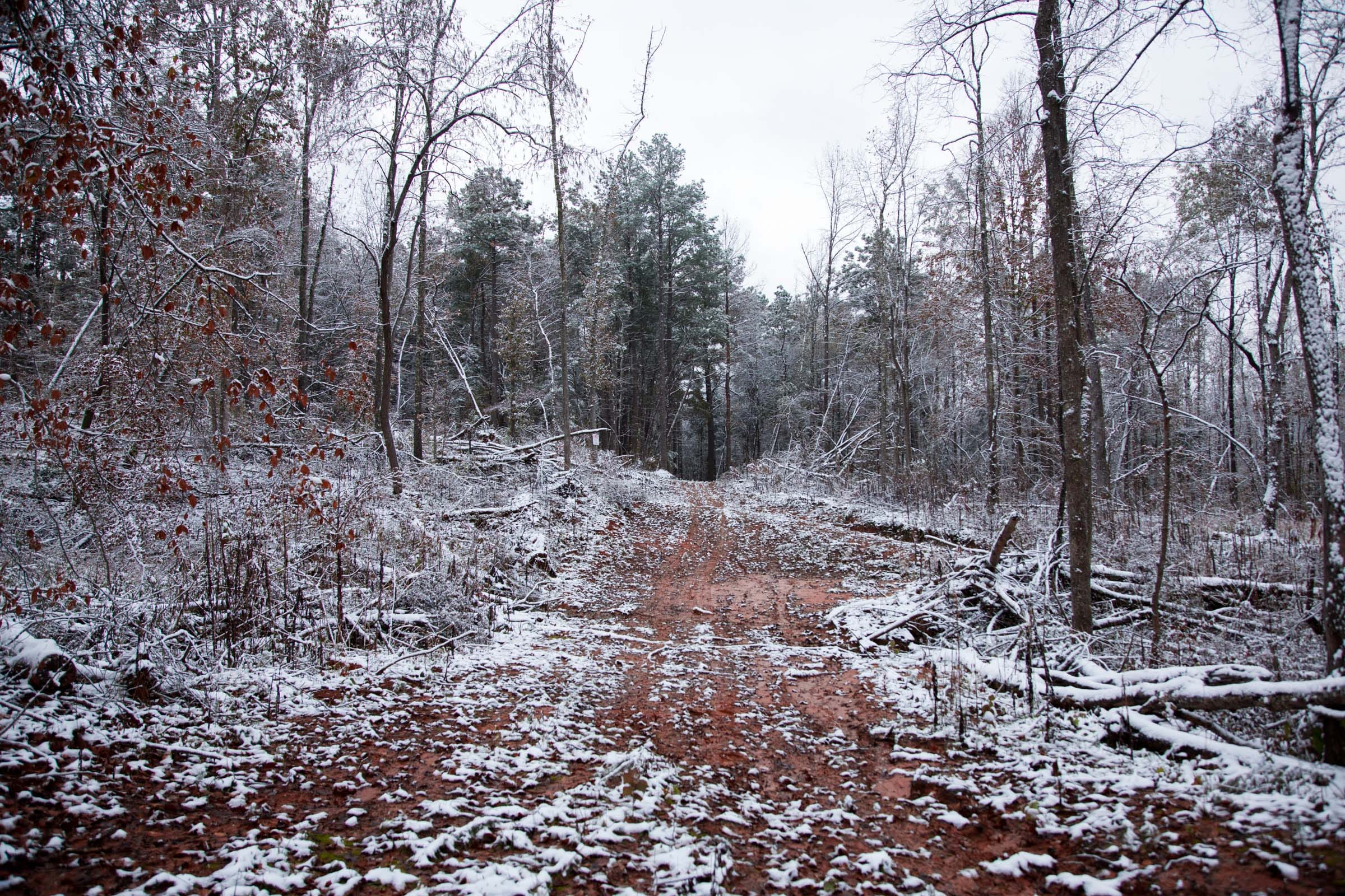 Sweet Water Ranch Tract 17 photo 12