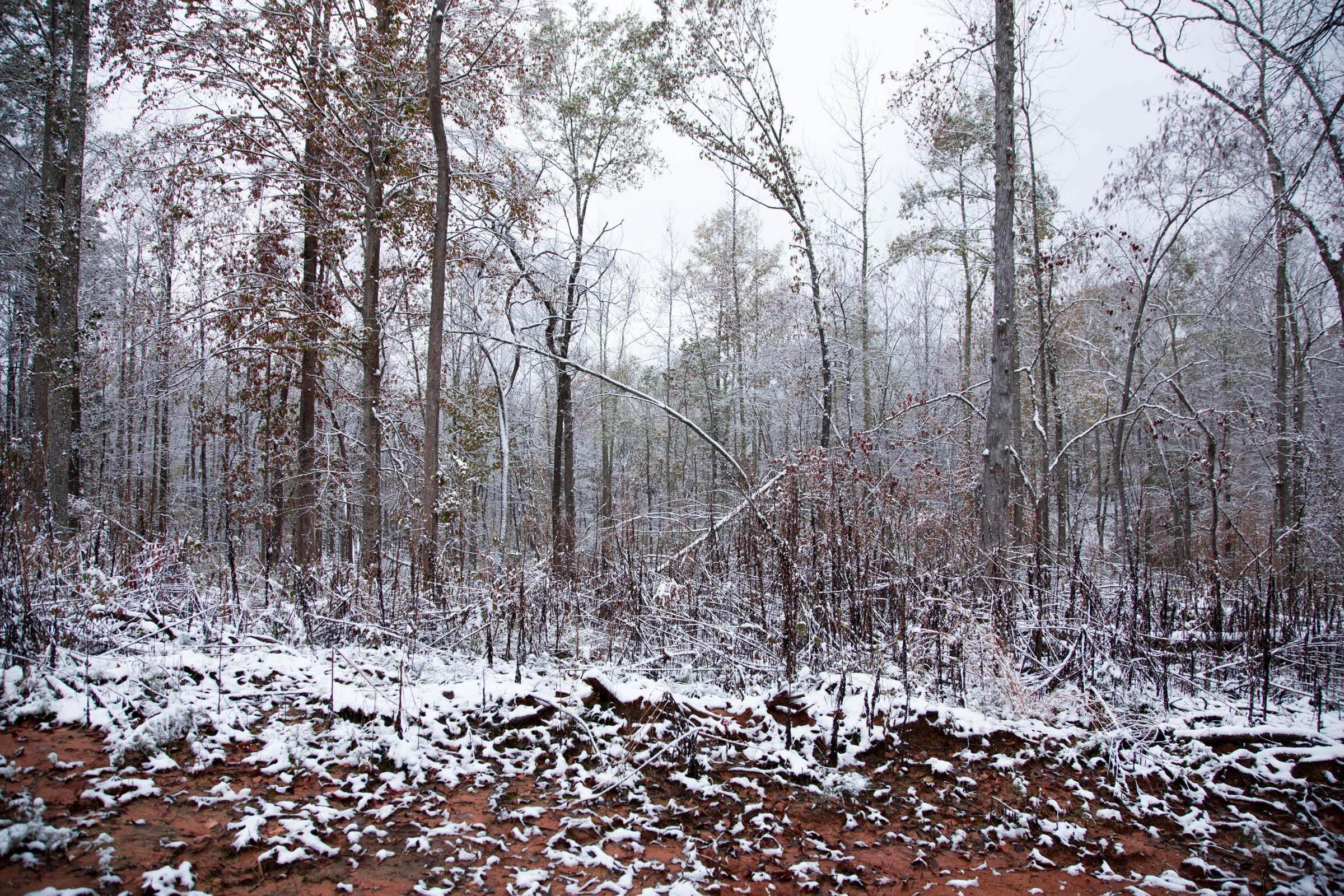 Sweet Water Ranch Tract 17 photo 13