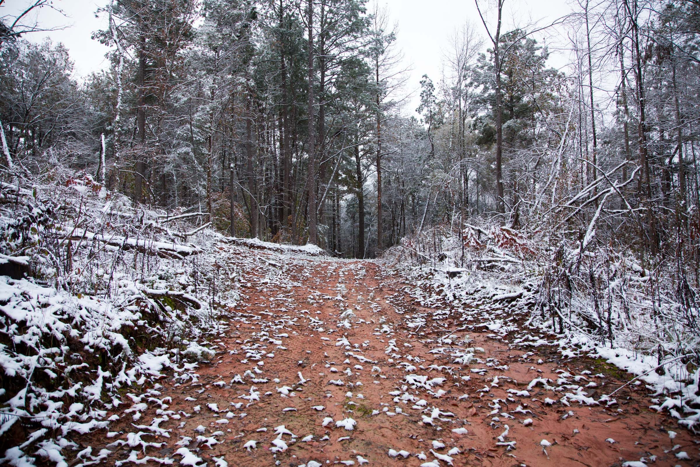 Sweet Water Ranch Tract 17 photo 15