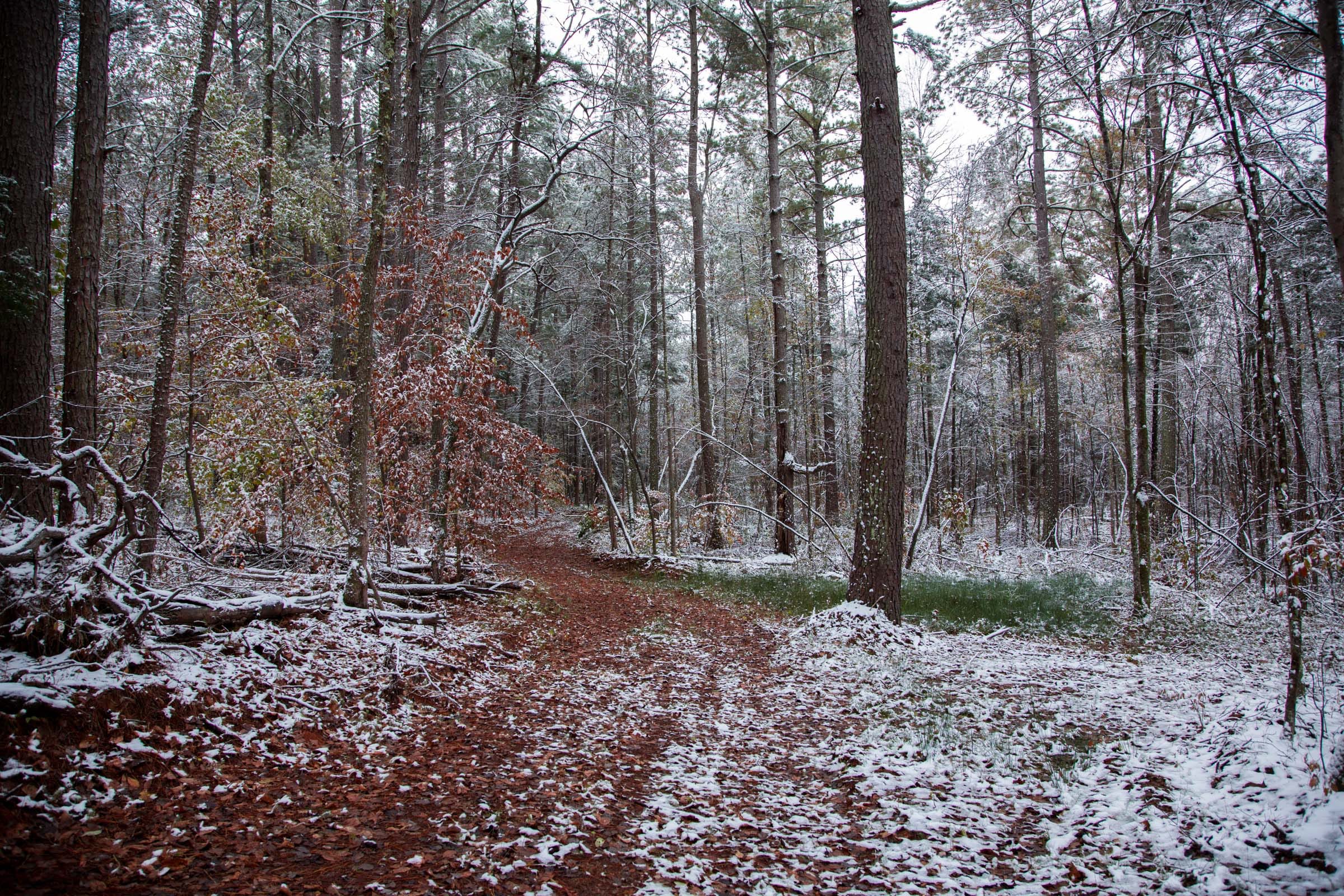 Sweet Water Ranch Tract 17 photo 17