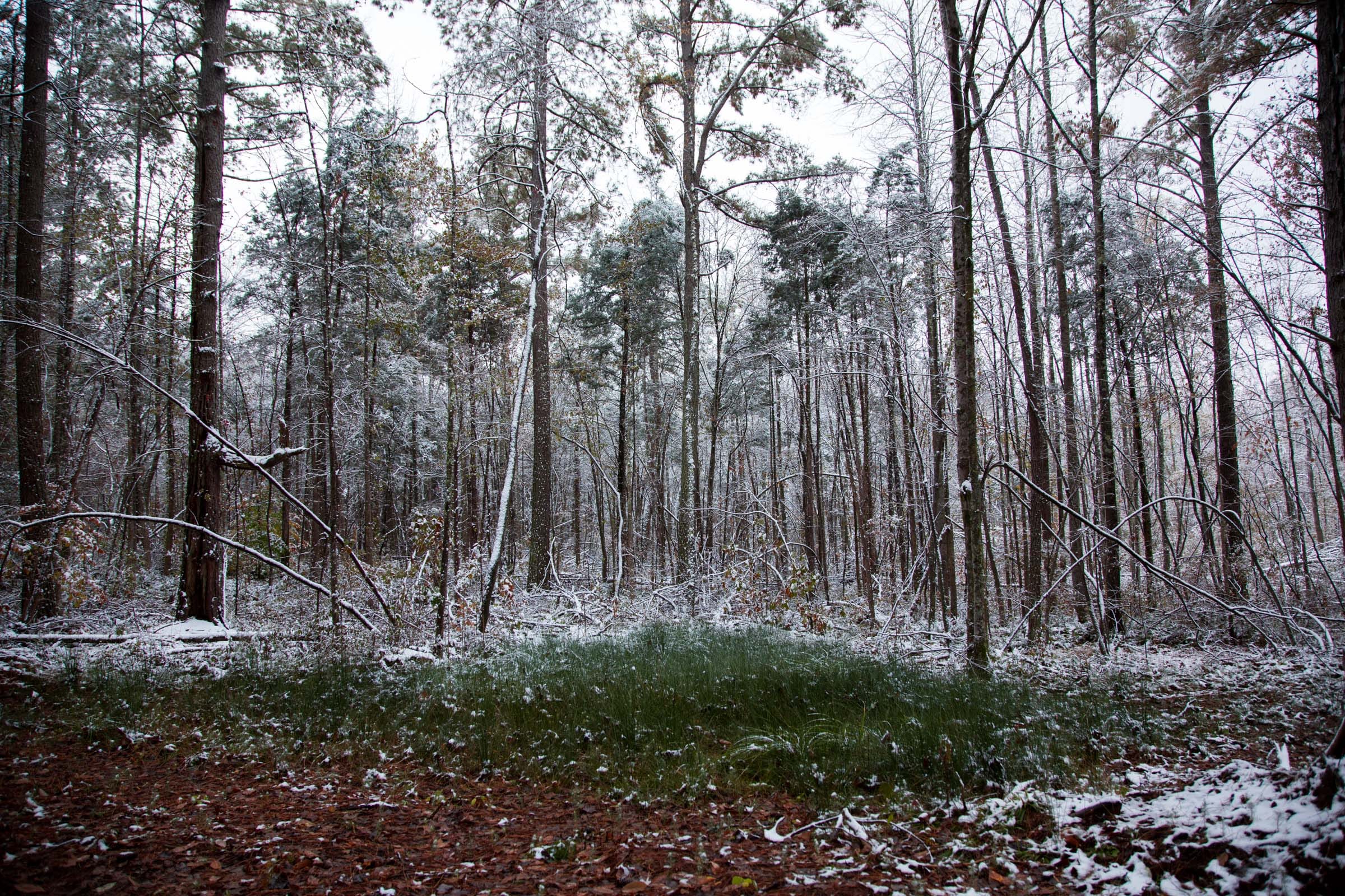 Sweet Water Ranch Tract 17 photo 18