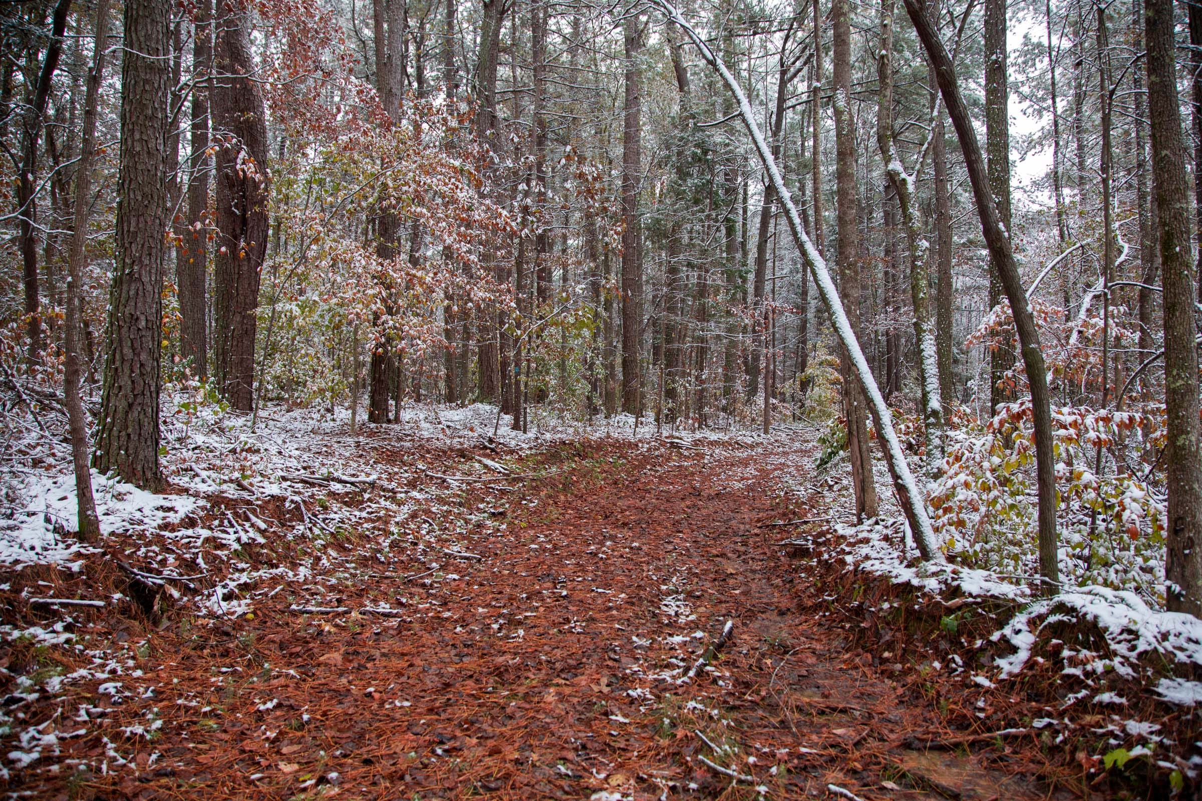 Sweet Water Ranch Tract 17 photo 19