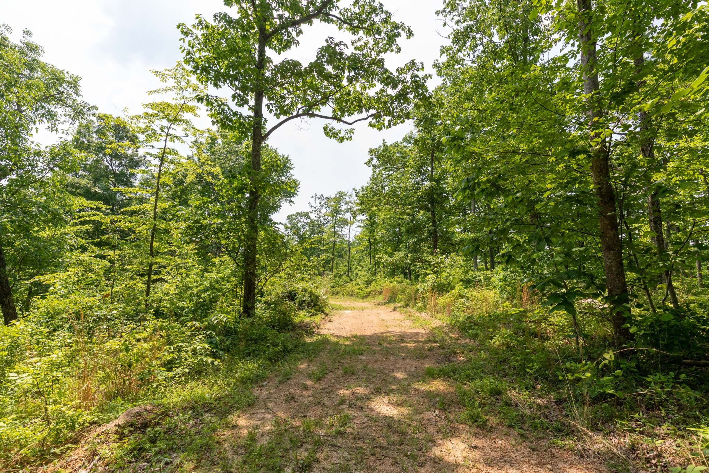 Cedar Creek Tract 20 photo 1