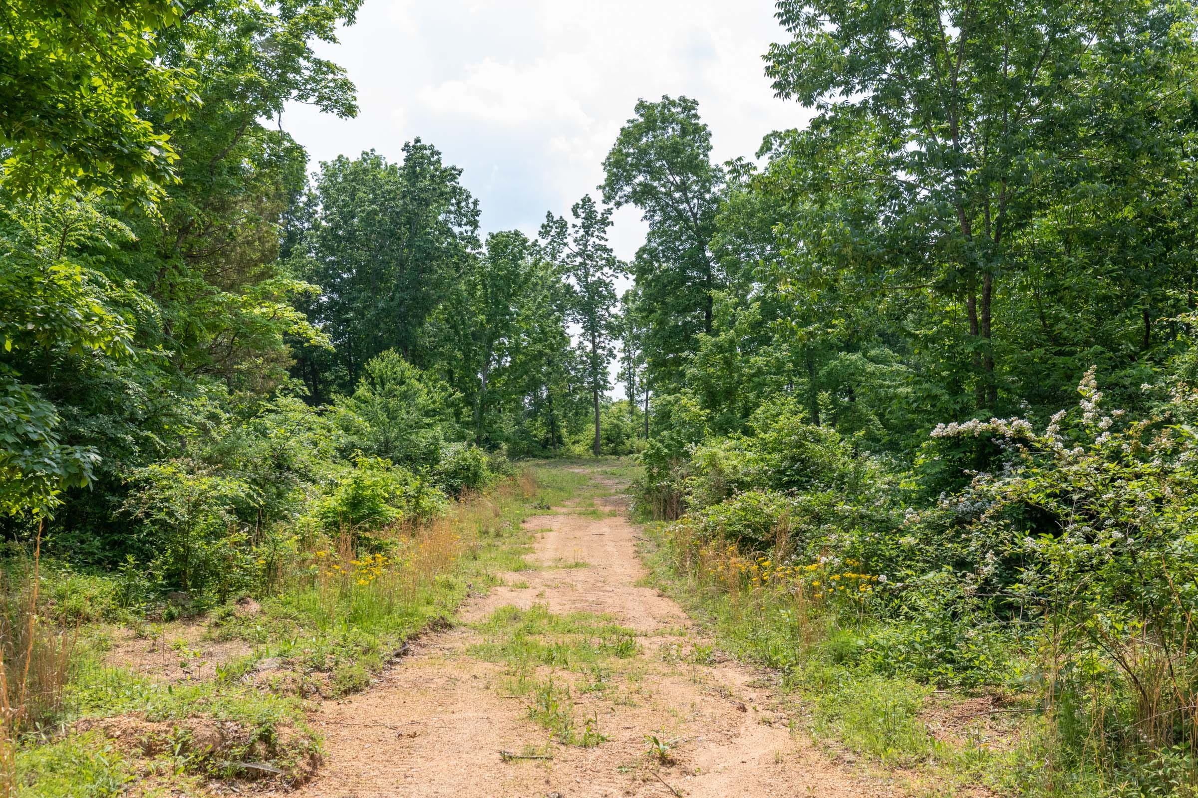 Cedar Creek Tract 20 photo 6