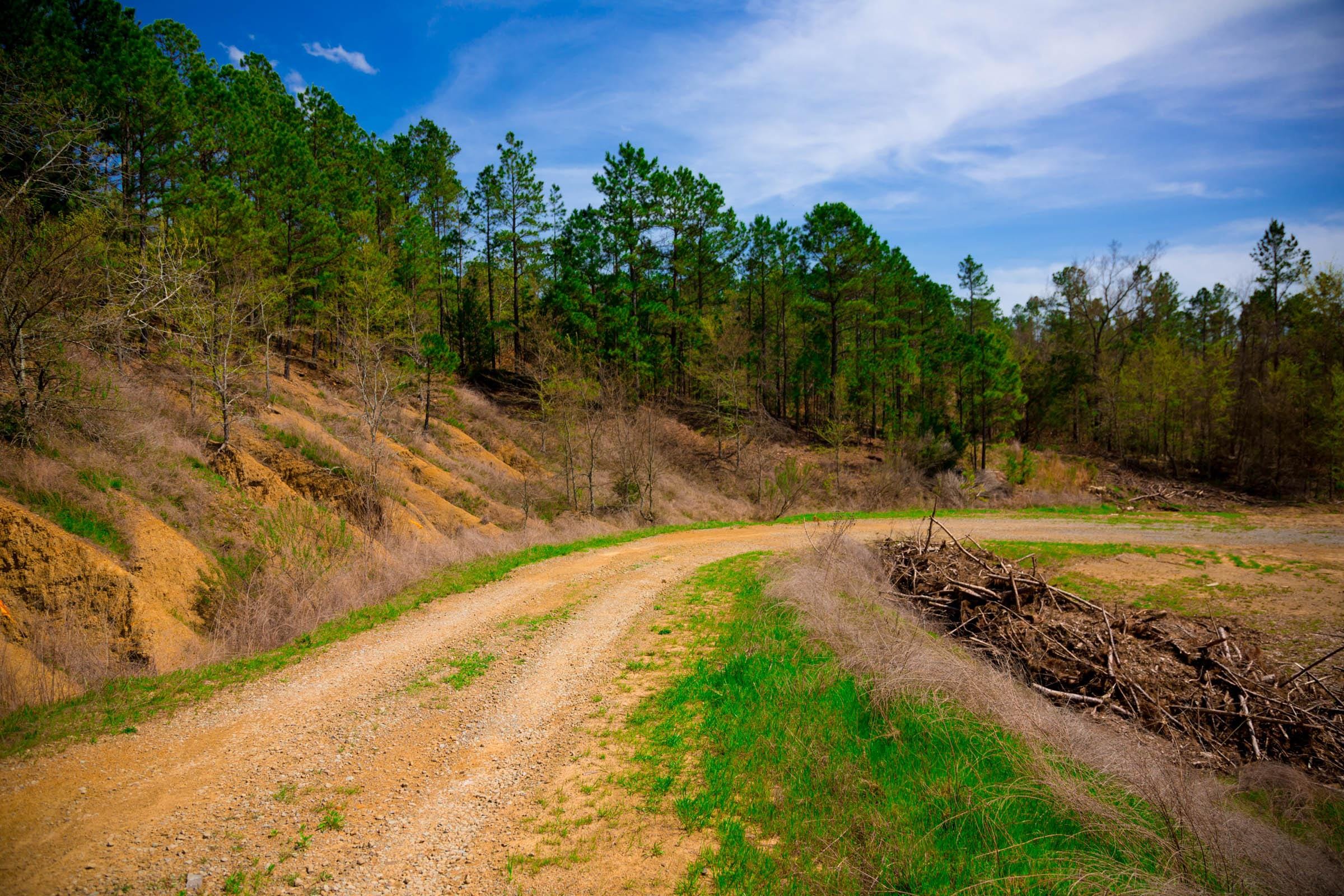 Stone Creek Phase II Tract 253 photo 2