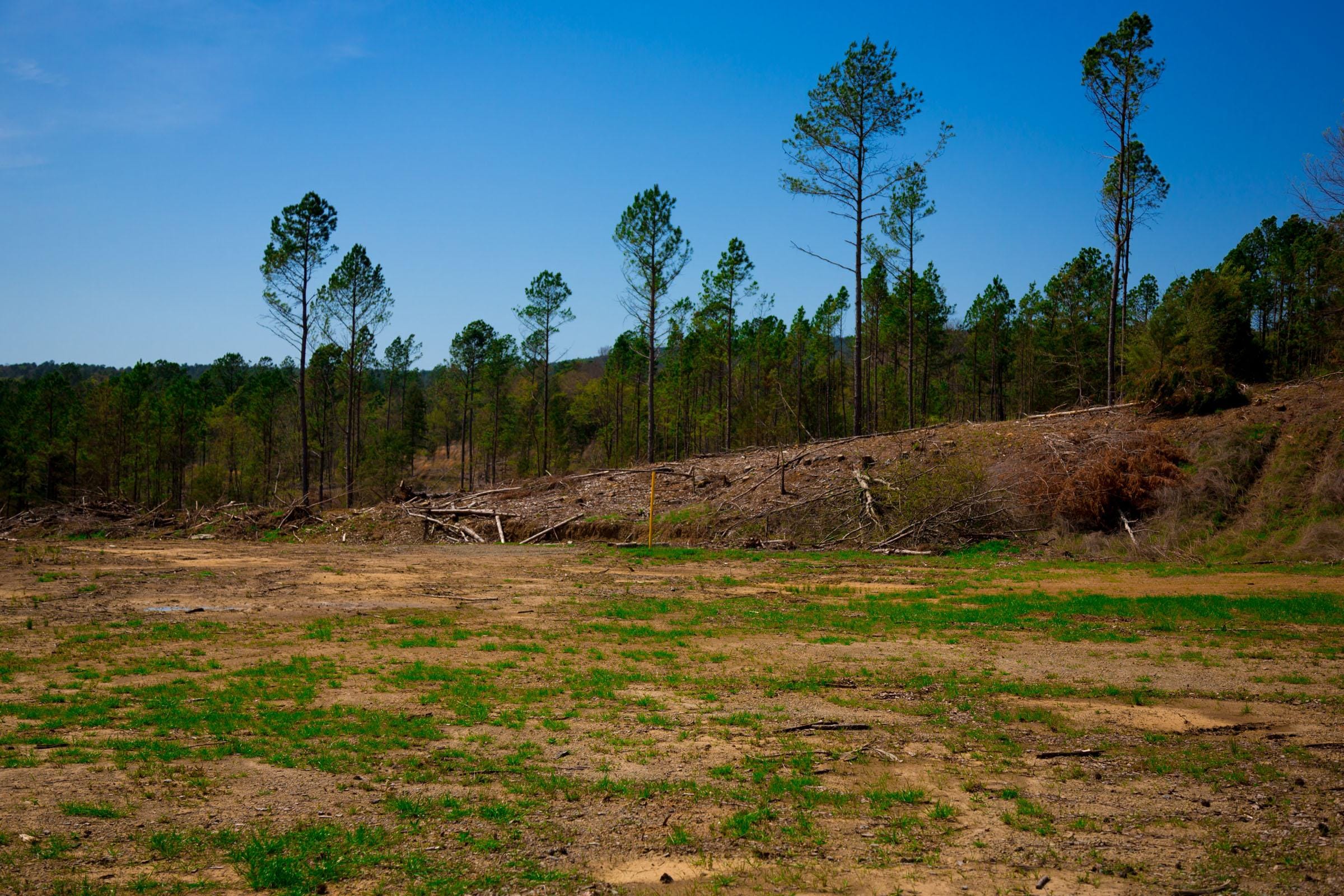 Stone Creek Phase II Tract 253 photo 4