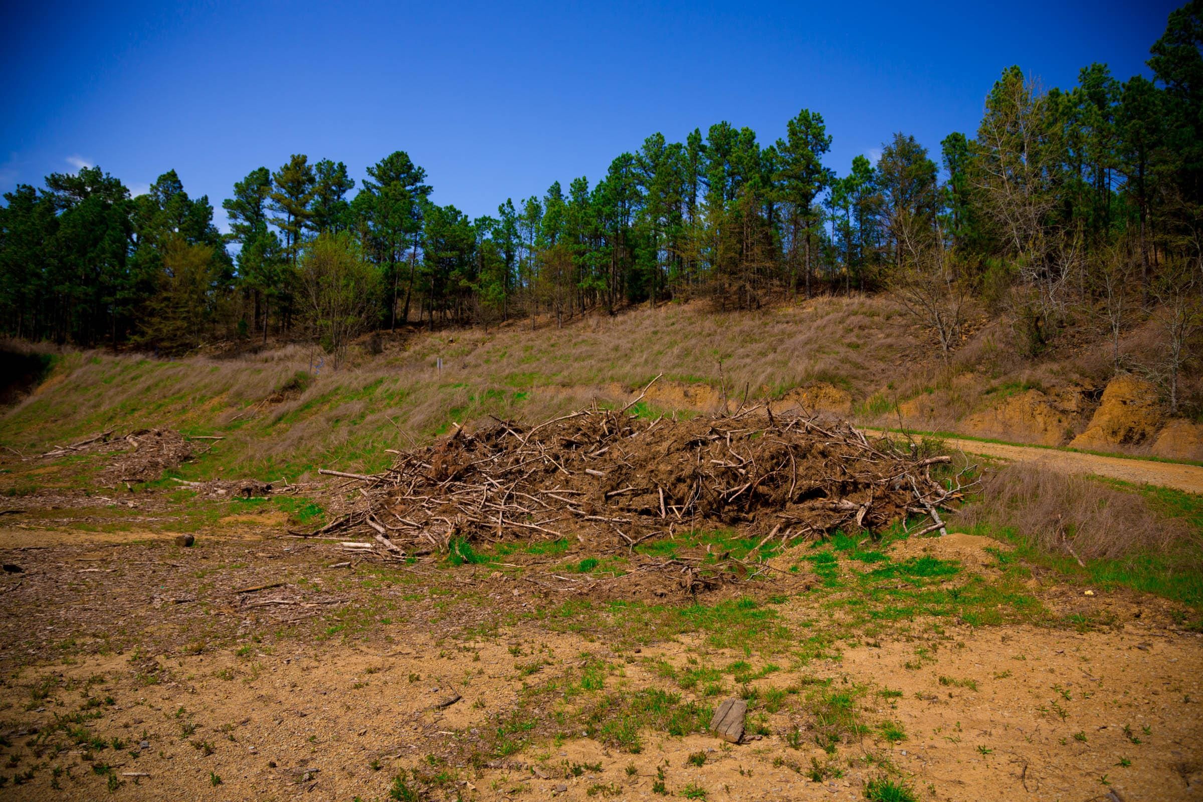 Stone Creek Phase II Tract 253 photo 5