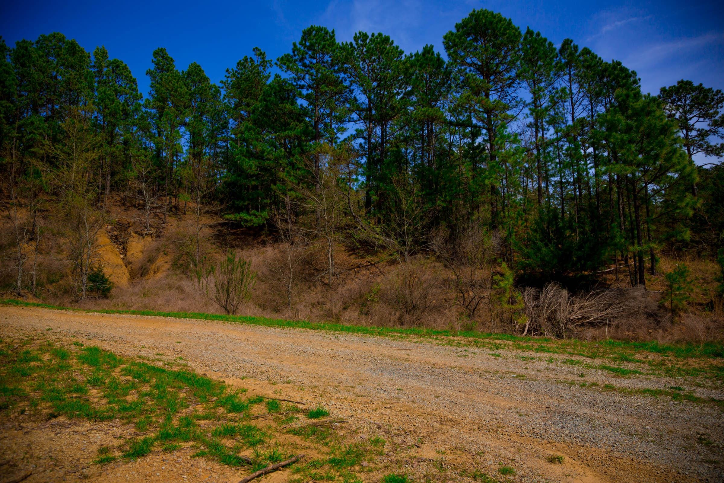 Stone Creek Phase II Tract 253 photo 8