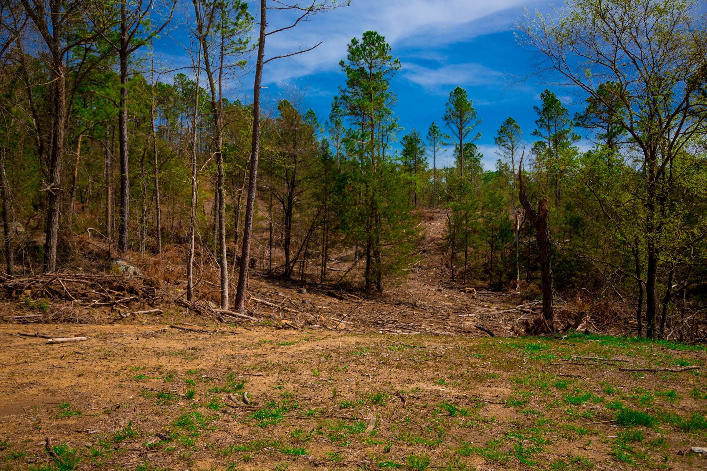 Stone Creek Phase II Tract 253 photo 7