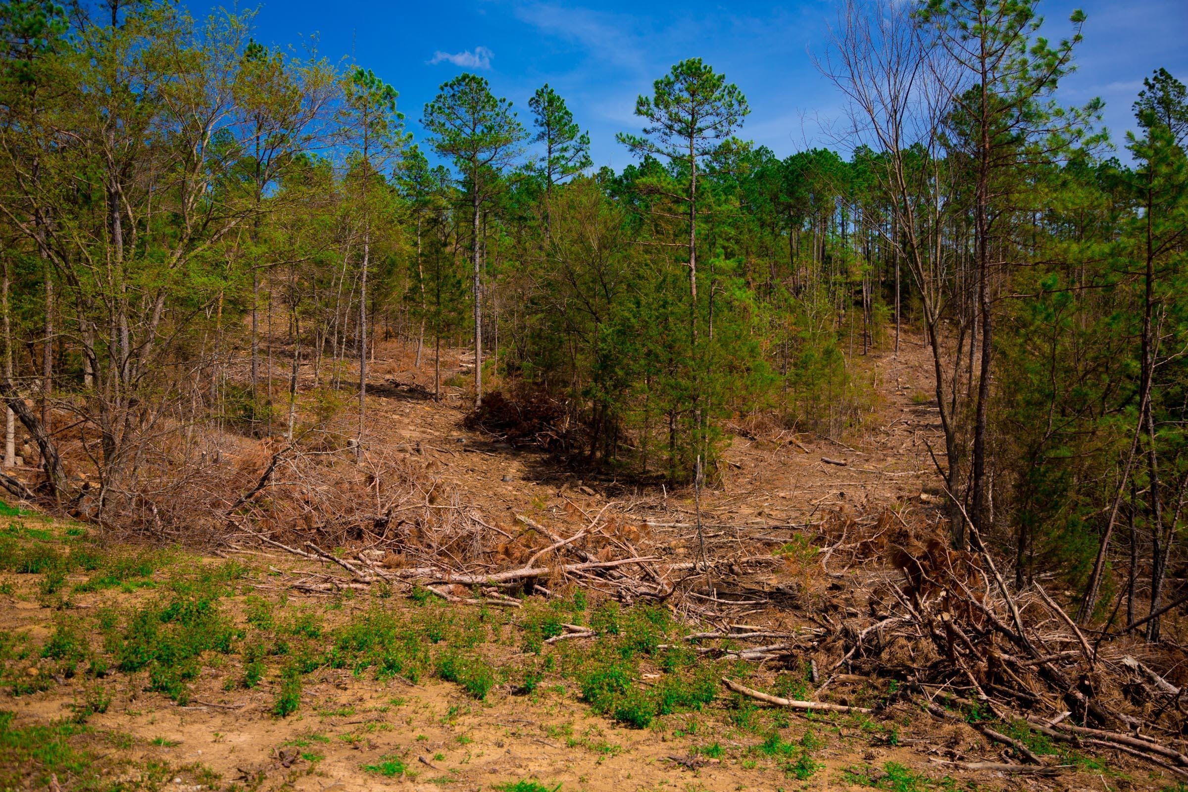 Stone Creek Phase II Tract 253 photo 10