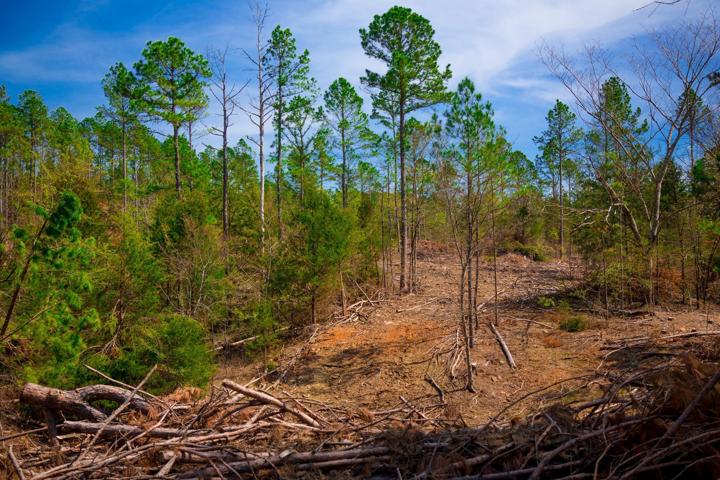 Stone Creek Phase II Tract 253 photo 11