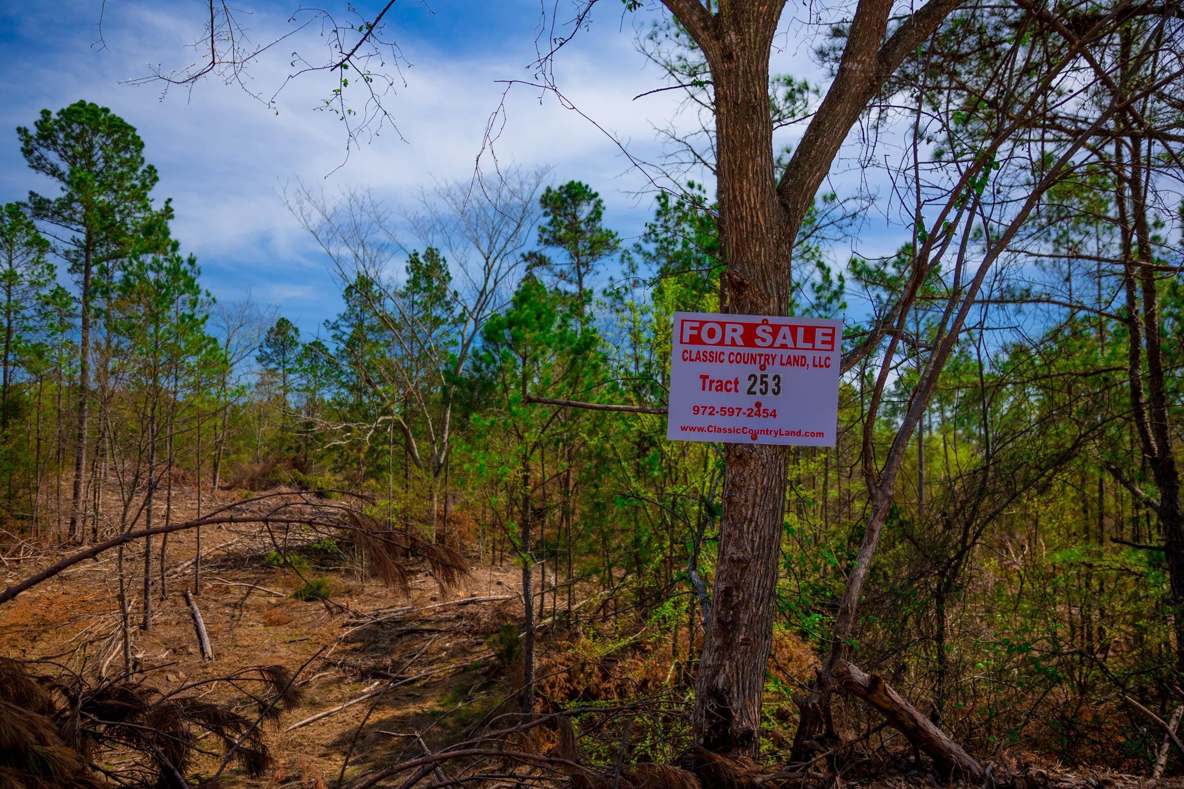 Stone Creek Phase II Tract 253 photo 1