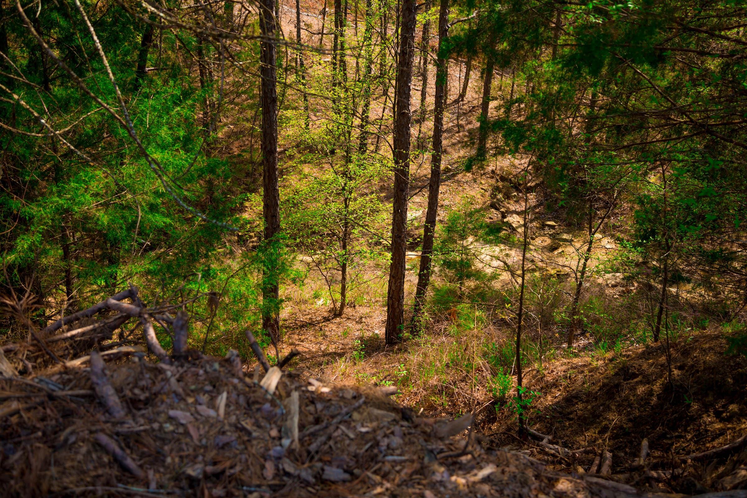 Stone Creek Phase II Tract 253 photo 12