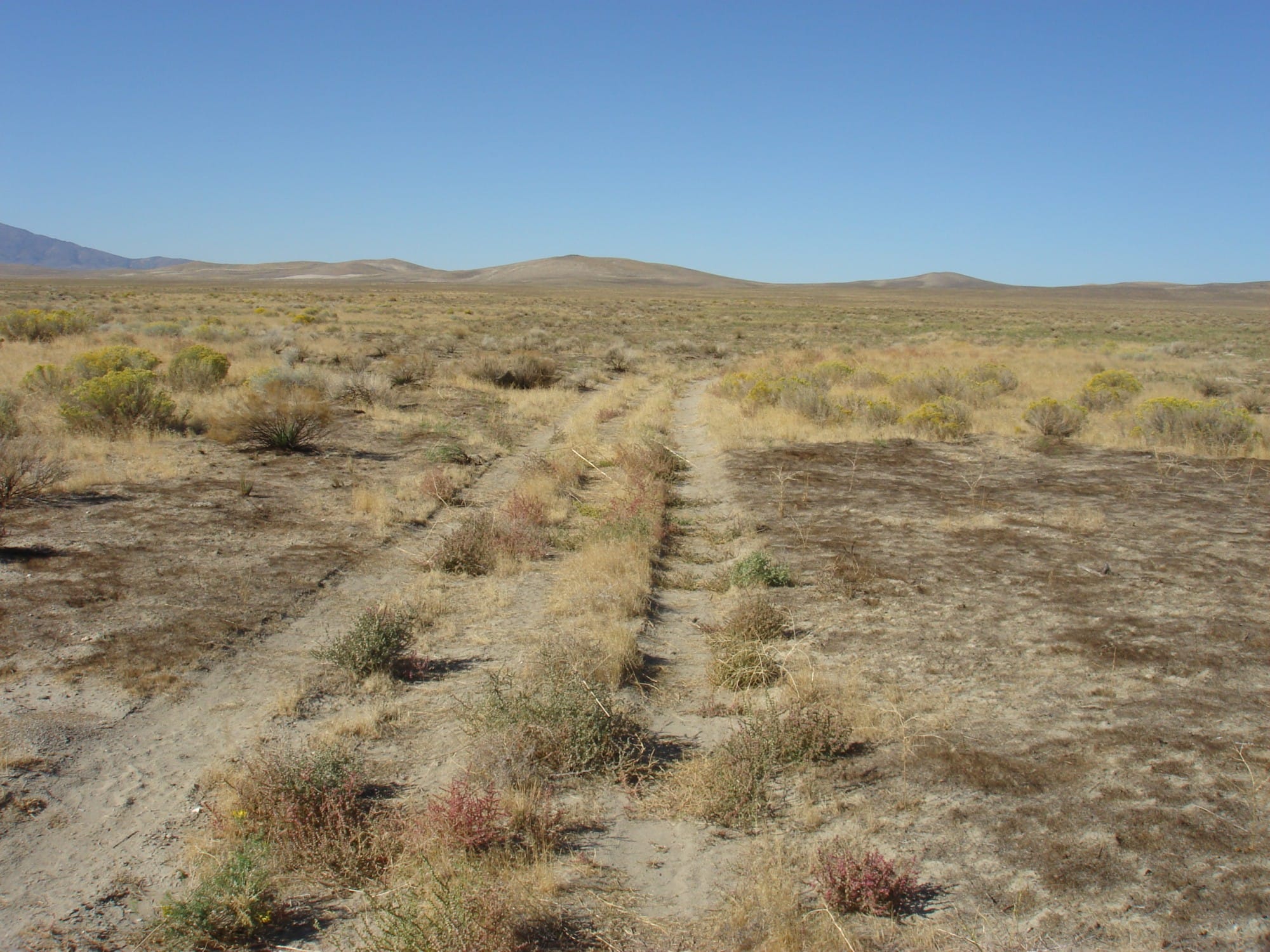 Humboldt County Tract 1 photo 20