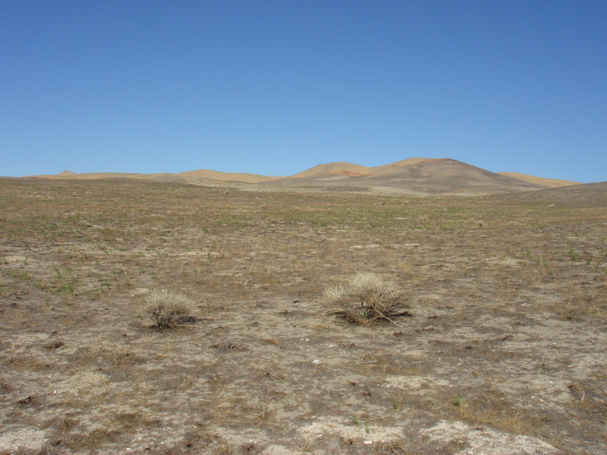 Humboldt County Tract 1 photo 22