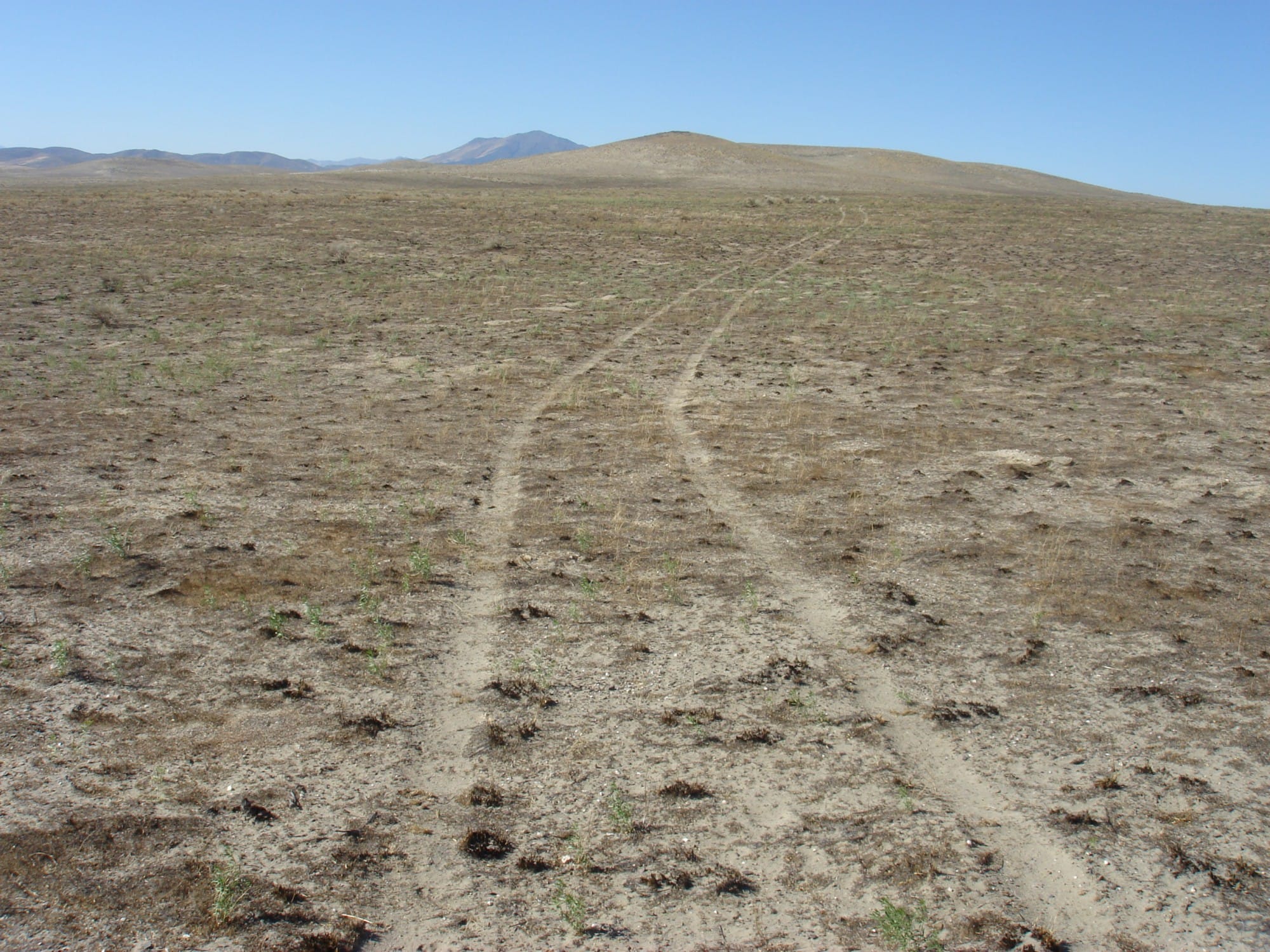 Humboldt County Tract 1 photo 25