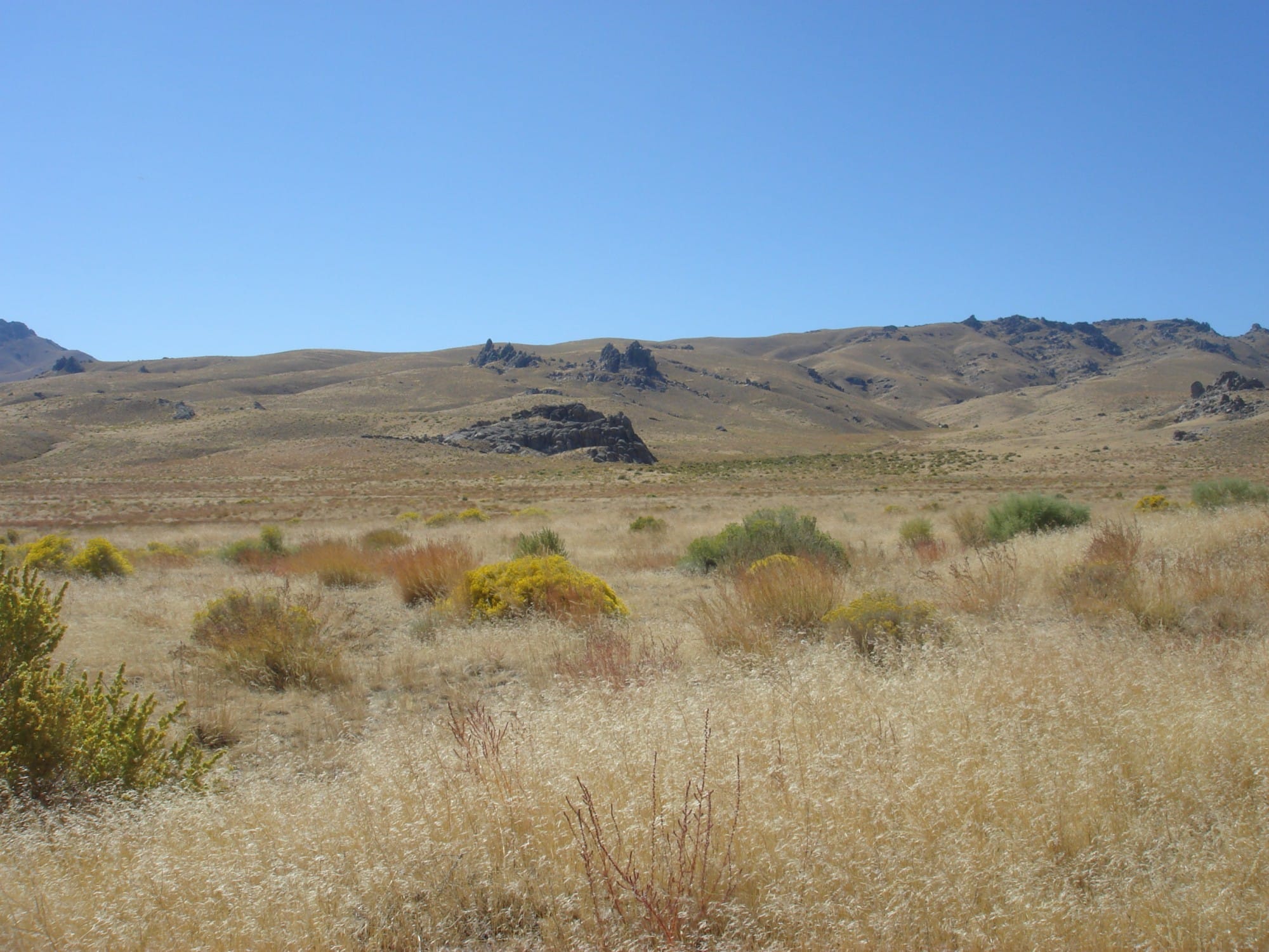 Humboldt County Tract 1 photo 32