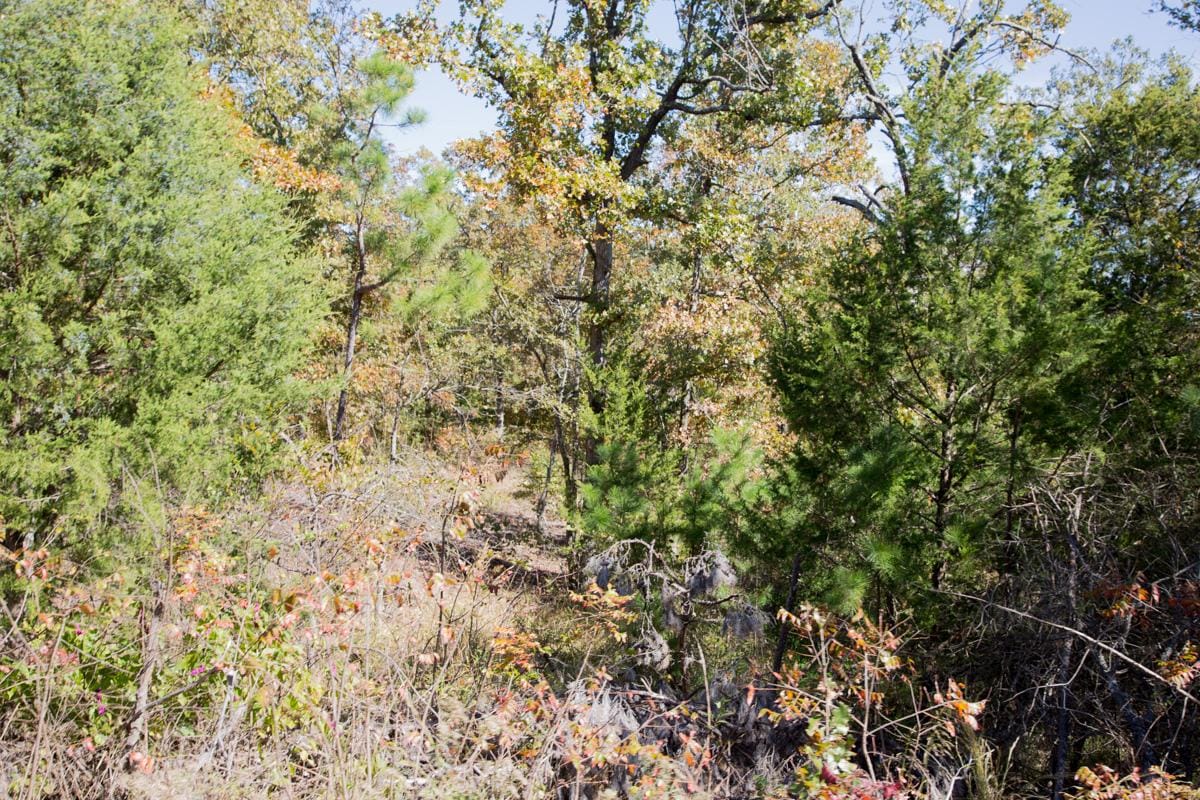 Stone Creek Phase I Tract 145 photo 4
