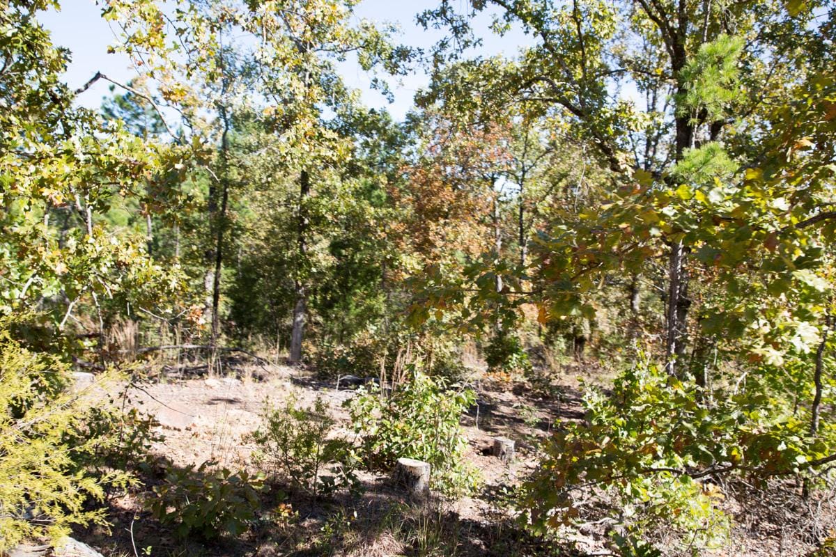 Stone Creek Phase I Tract 145 photo 6