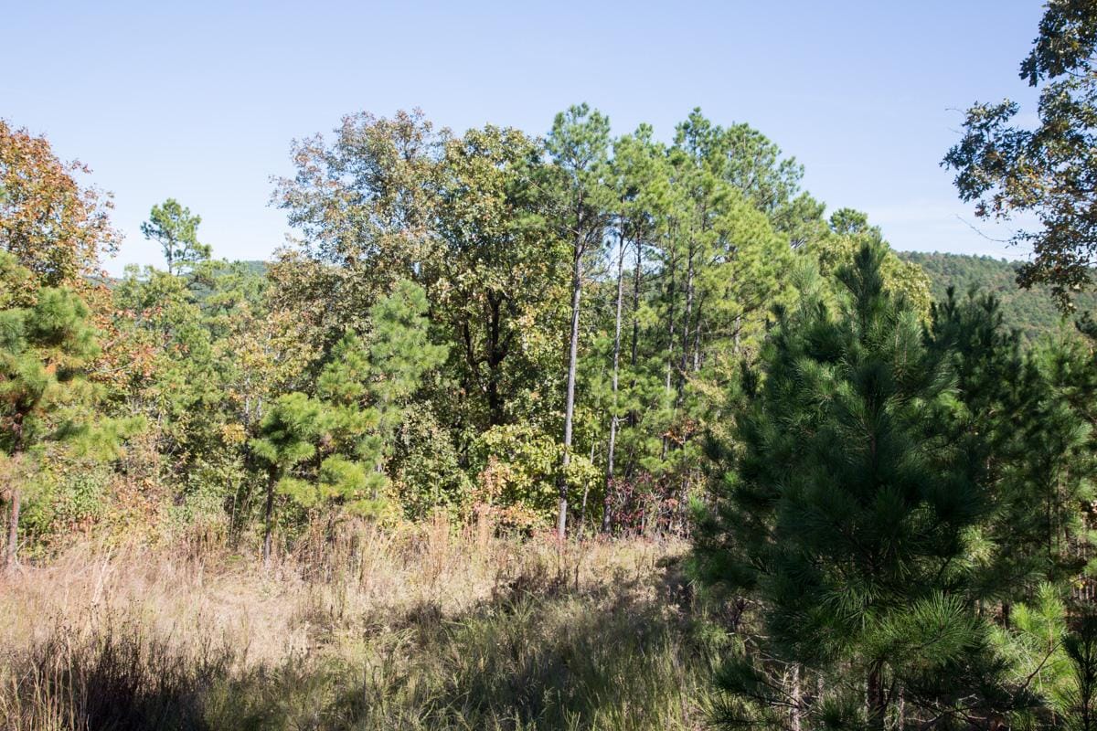 Stone Creek Phase I Tract 145 photo 7