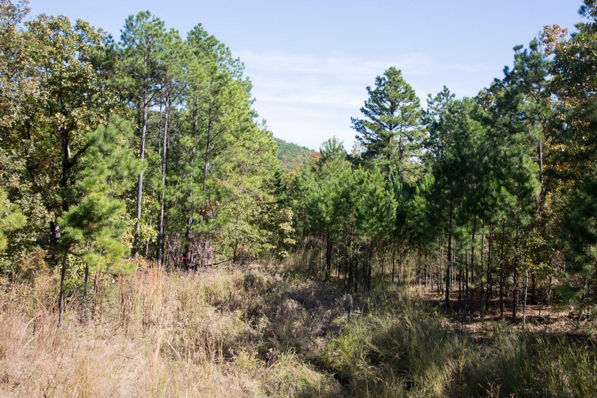 Stone Creek Phase I Tract 145 photo 8
