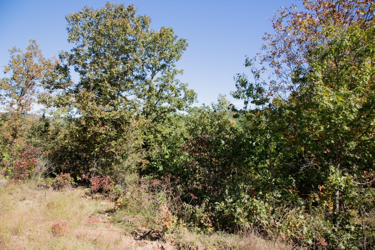 Stone Creek Phase I Tract 145 photo 10