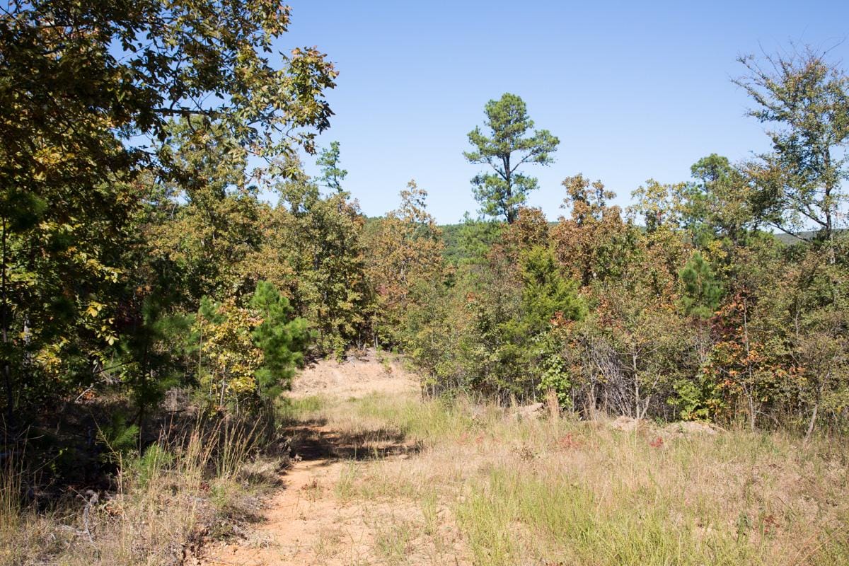 Stone Creek Phase I Tract 145 photo 11