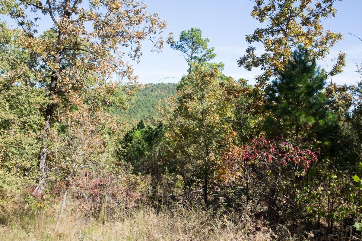 Stone Creek Phase I Tract 145 photo 12