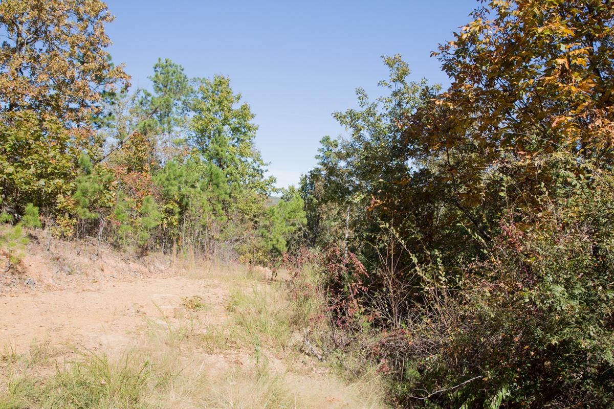 Stone Creek Phase I Tract 145 photo 13