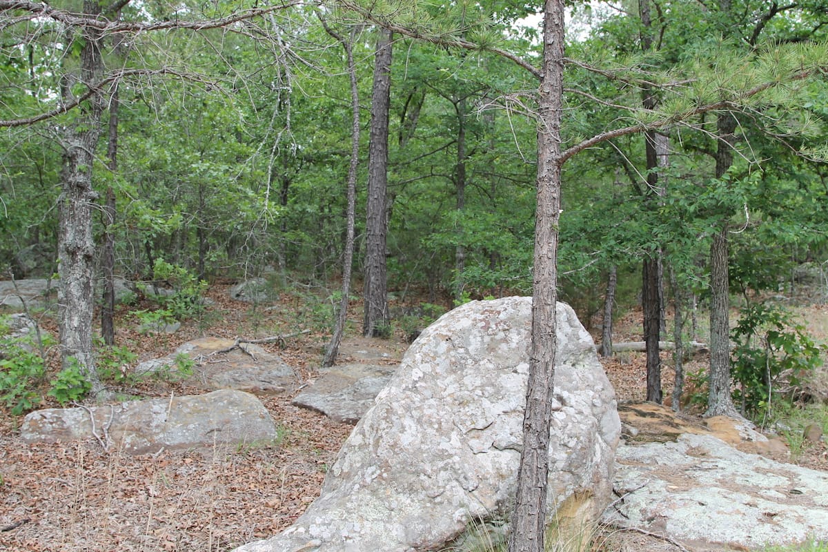 Trophy Ridge Phase II Tract 71 photo 1