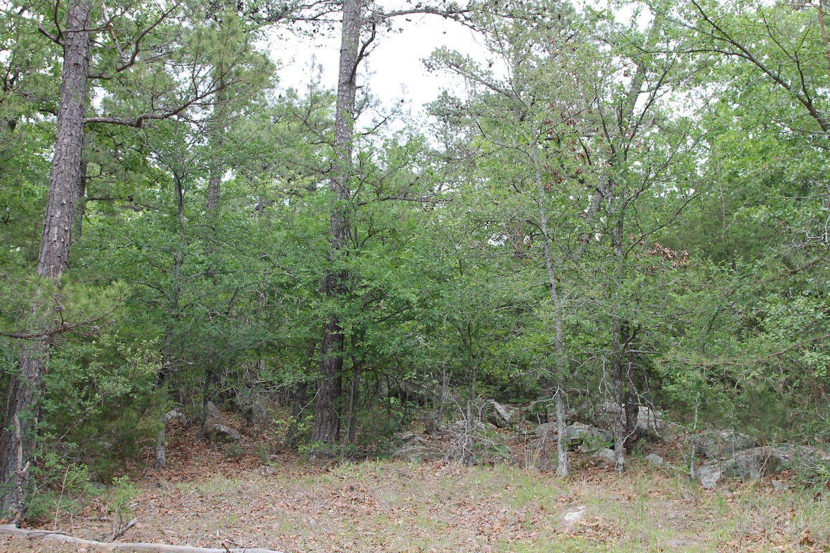 Trophy Ridge Phase II Tract 71 photo 2