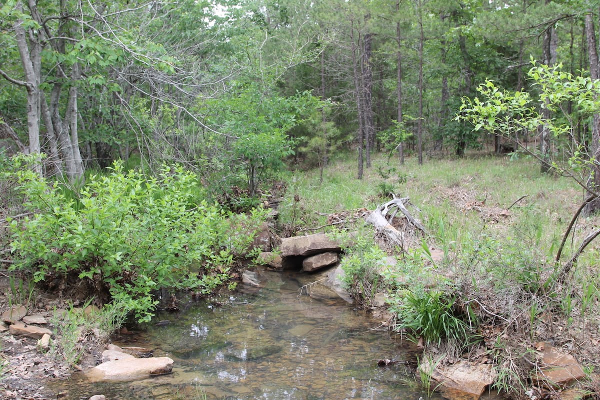 Trophy Ridge Phase II Tract 71 photo 6
