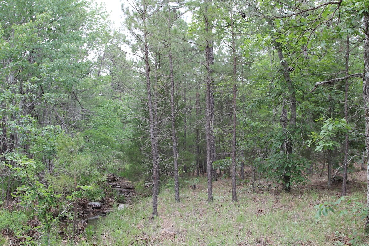 Trophy Ridge Phase II Tract 71 photo 7