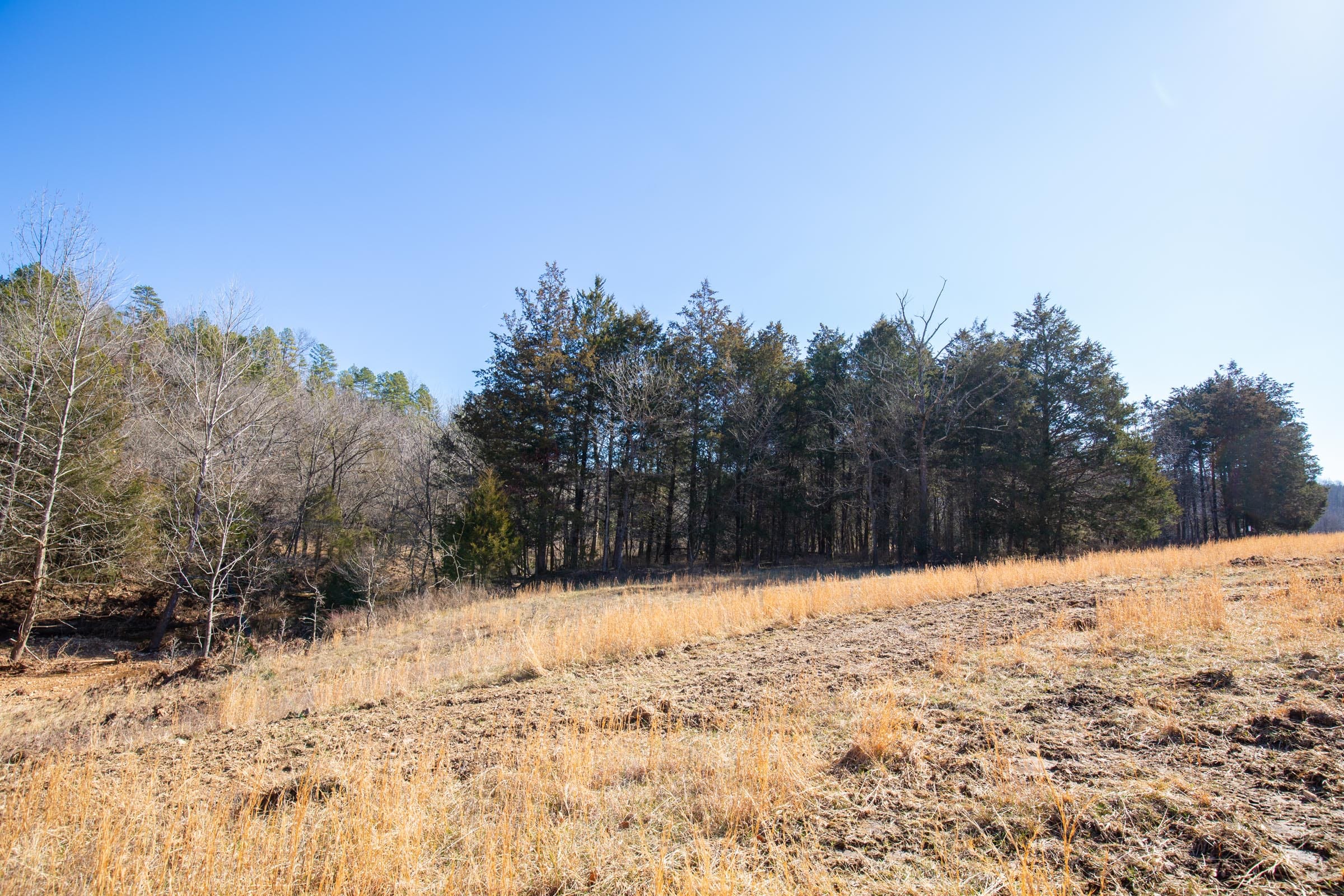 O’Connor Crossing Tract 18 photo 12
