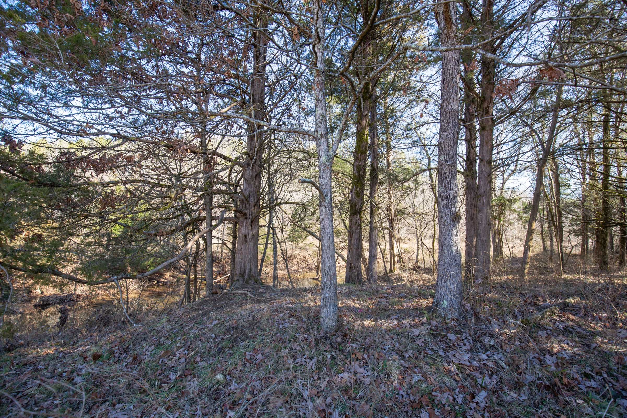 O’Connor Crossing Tract 18 photo 7